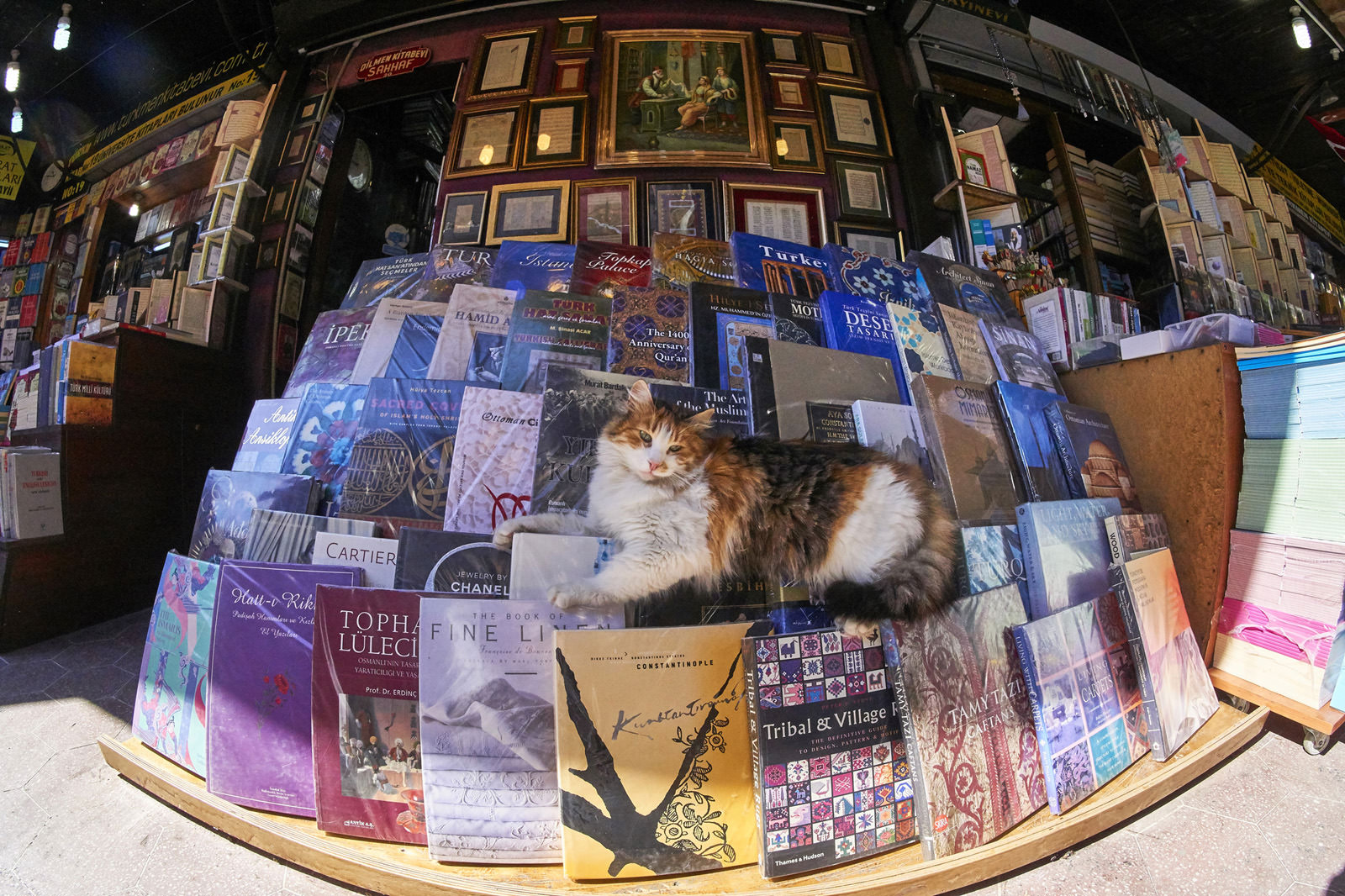 Istanbul - 4 Days Trip Tourist Guide for Istanbul