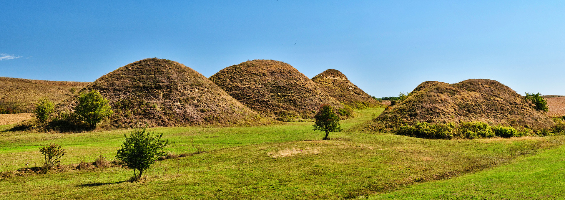 Movilele de la Șona - Colinele Transilvaniei