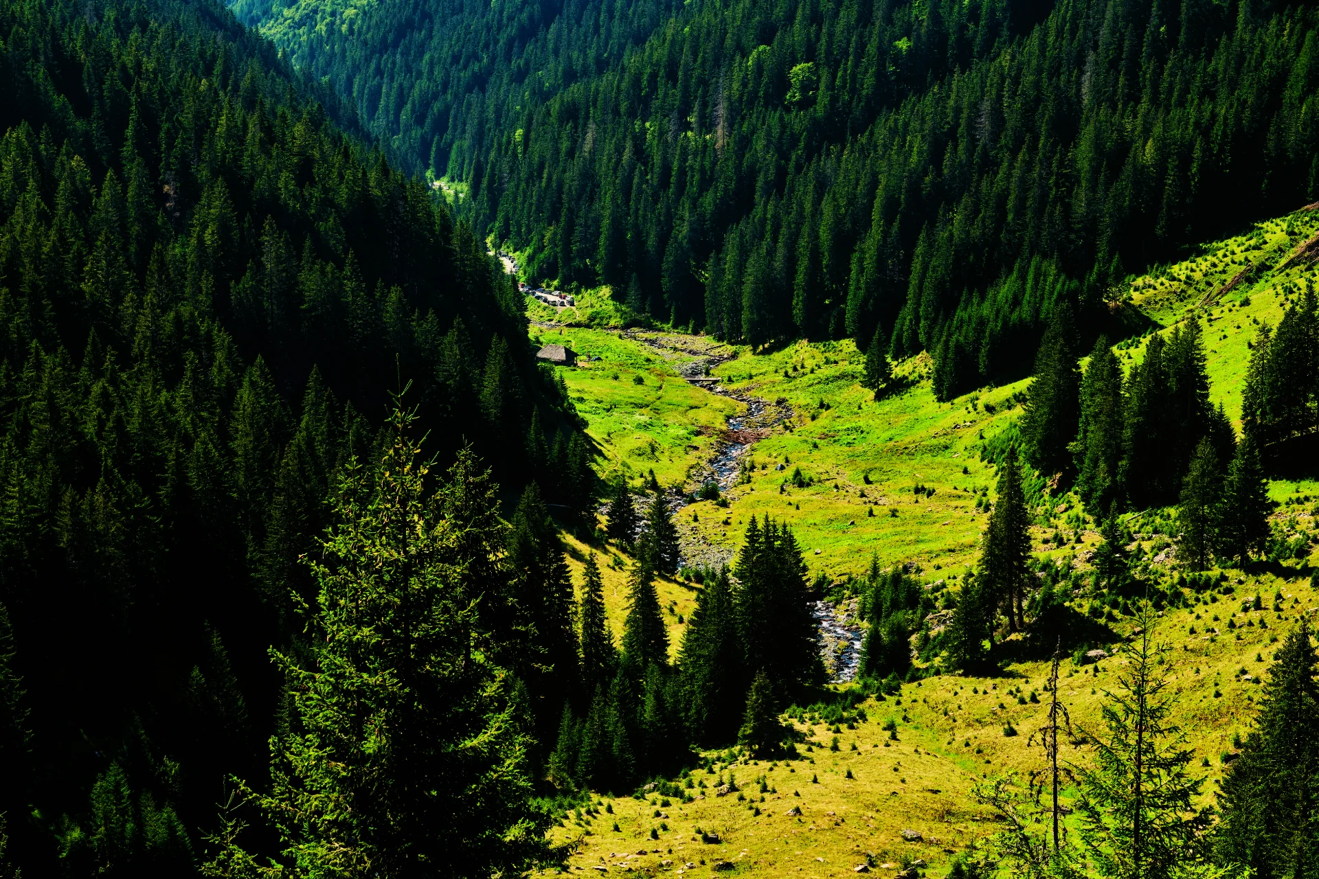 Munții Făgăraș - 100 Destinații din România 49 - Stâna lui Burnei si Valea Rea