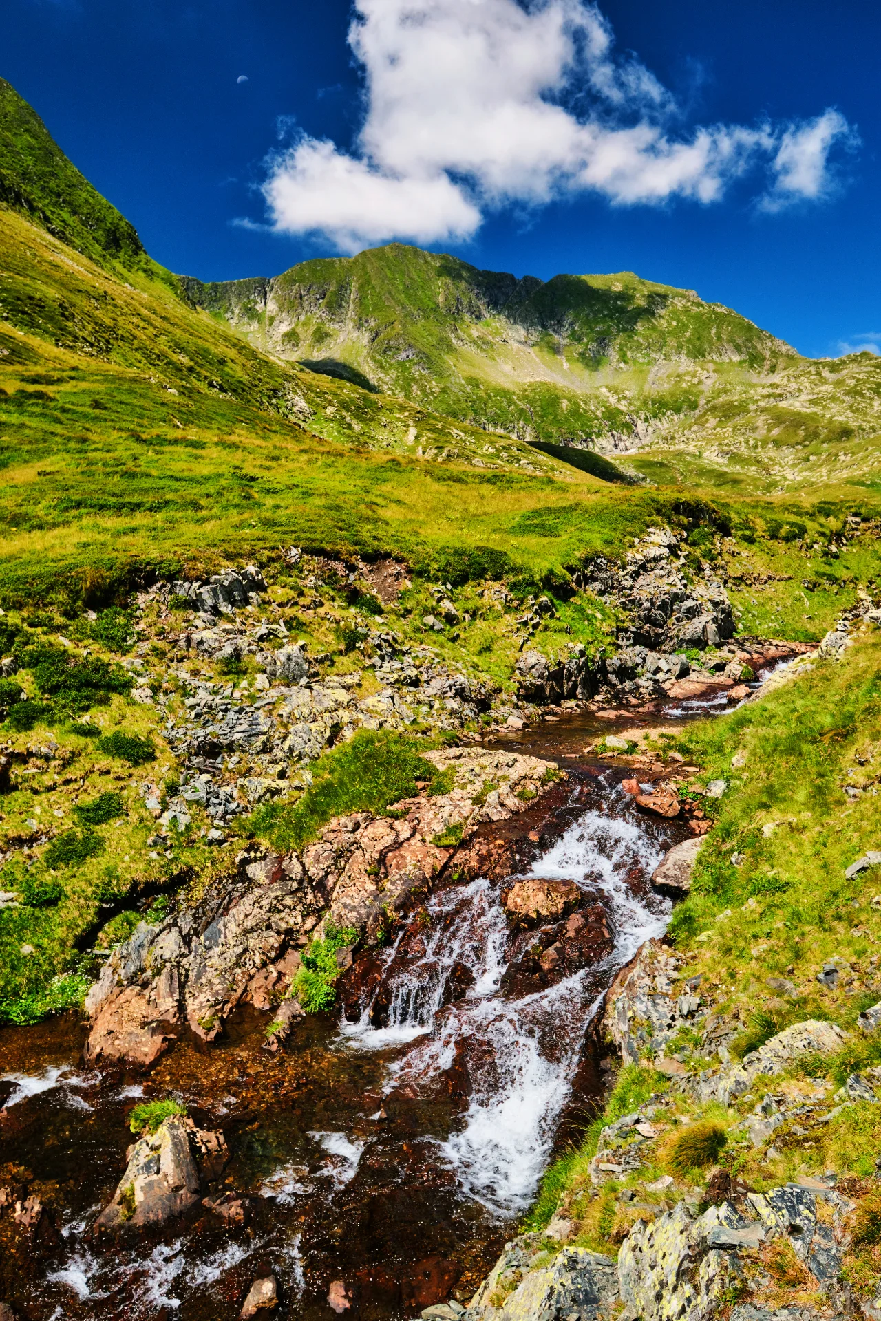 Munții Făgăraș - 100 Destinații din România 54 - Vârfurile Moldvoveanu și Viștea Mare