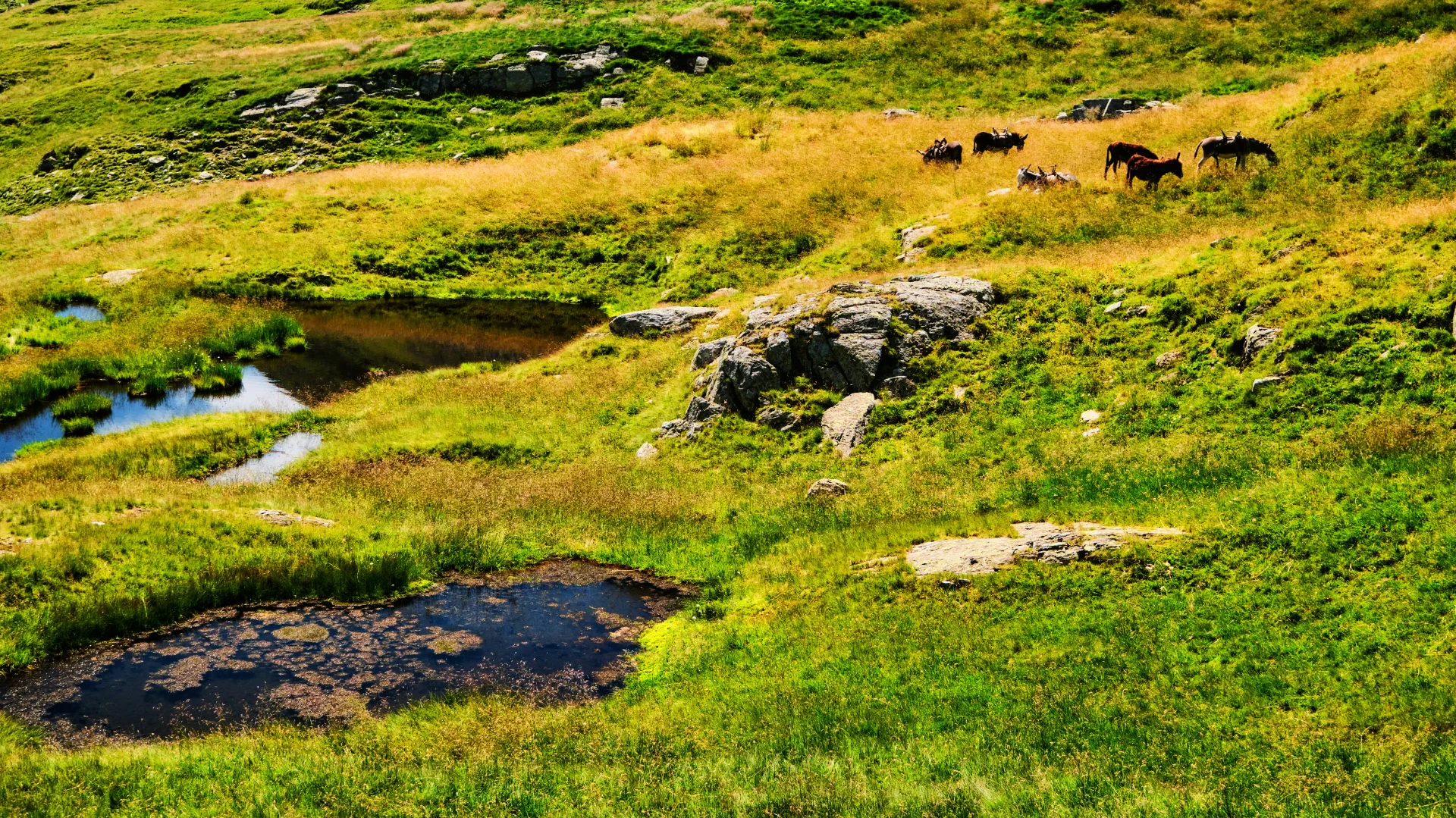 Munții Făgăraș - 100 Destinații din România 56 - Căldarea Văii Rele