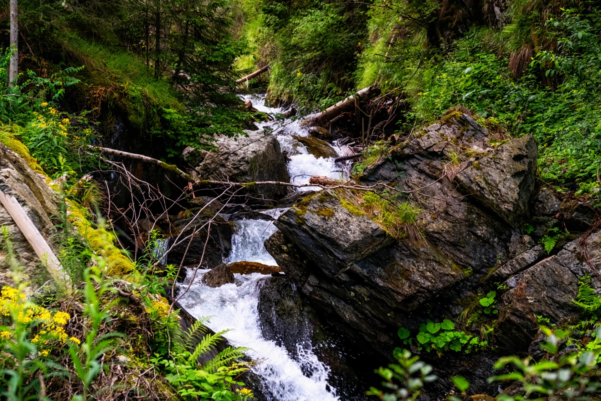 Munții Făgăraș - 100 Destinații din România 85 - Valea Sâmbetei
