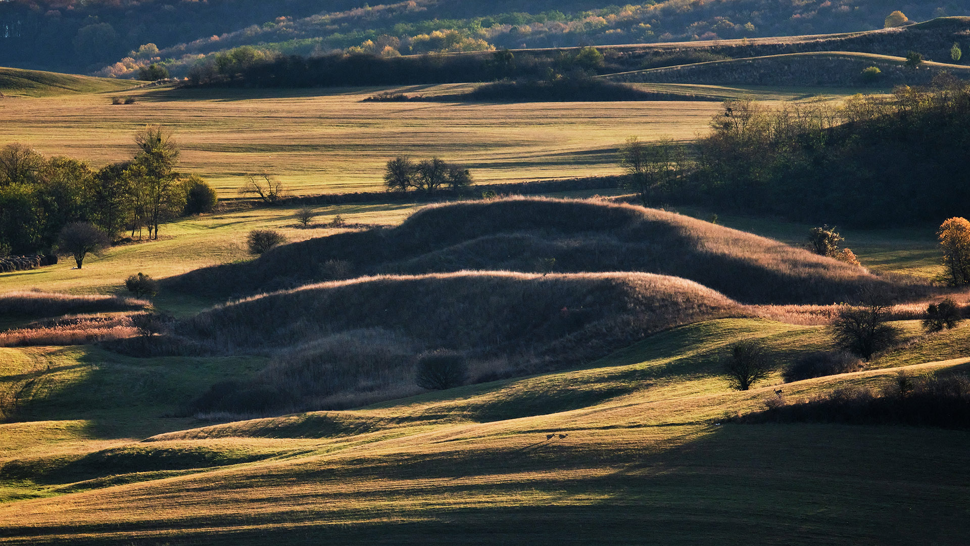 Peisaj rural lângă satul Văleni - Colinele Transilvaniei 129