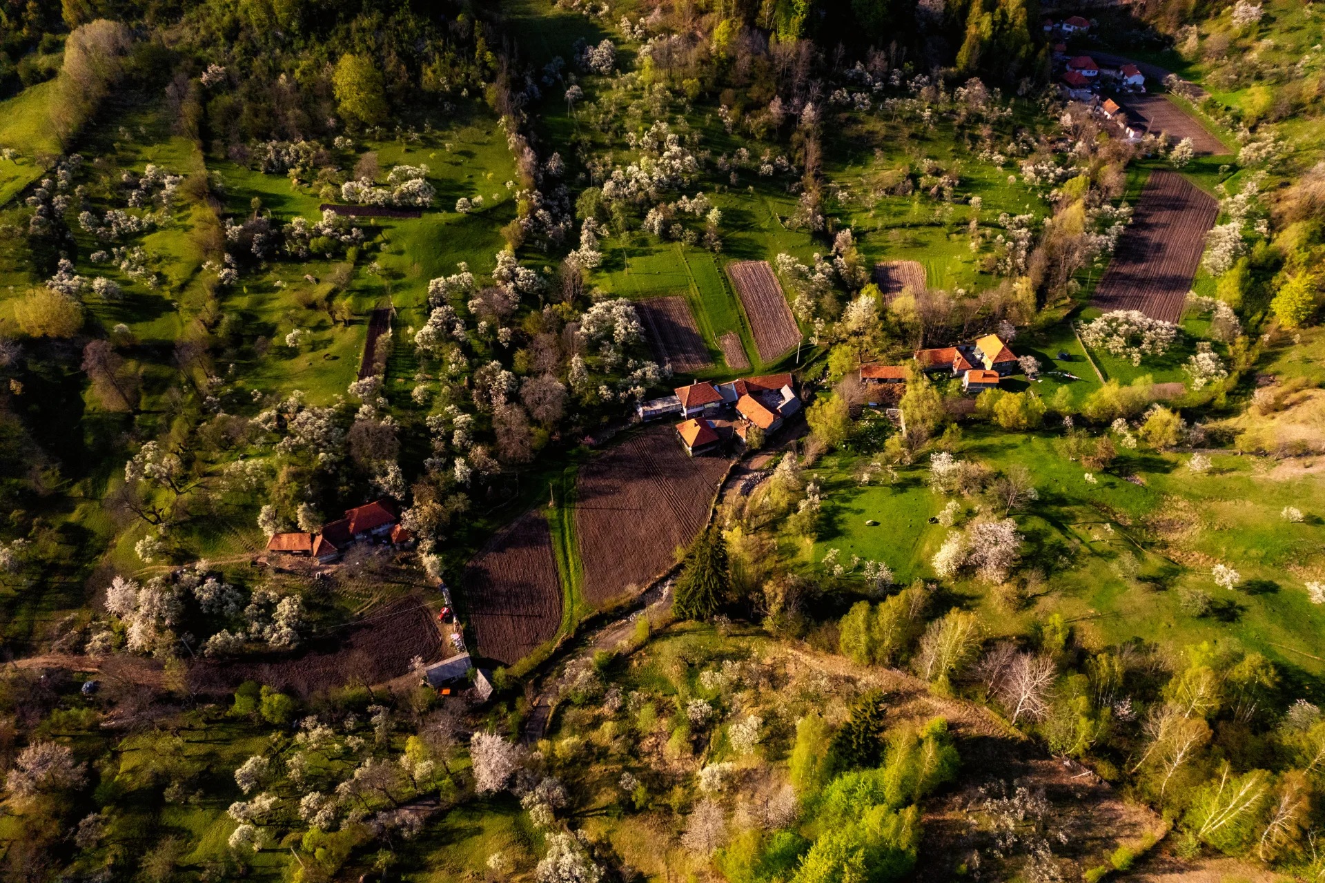 Sate autentice din Romania - Bănița - Merișor - Crivadia 1