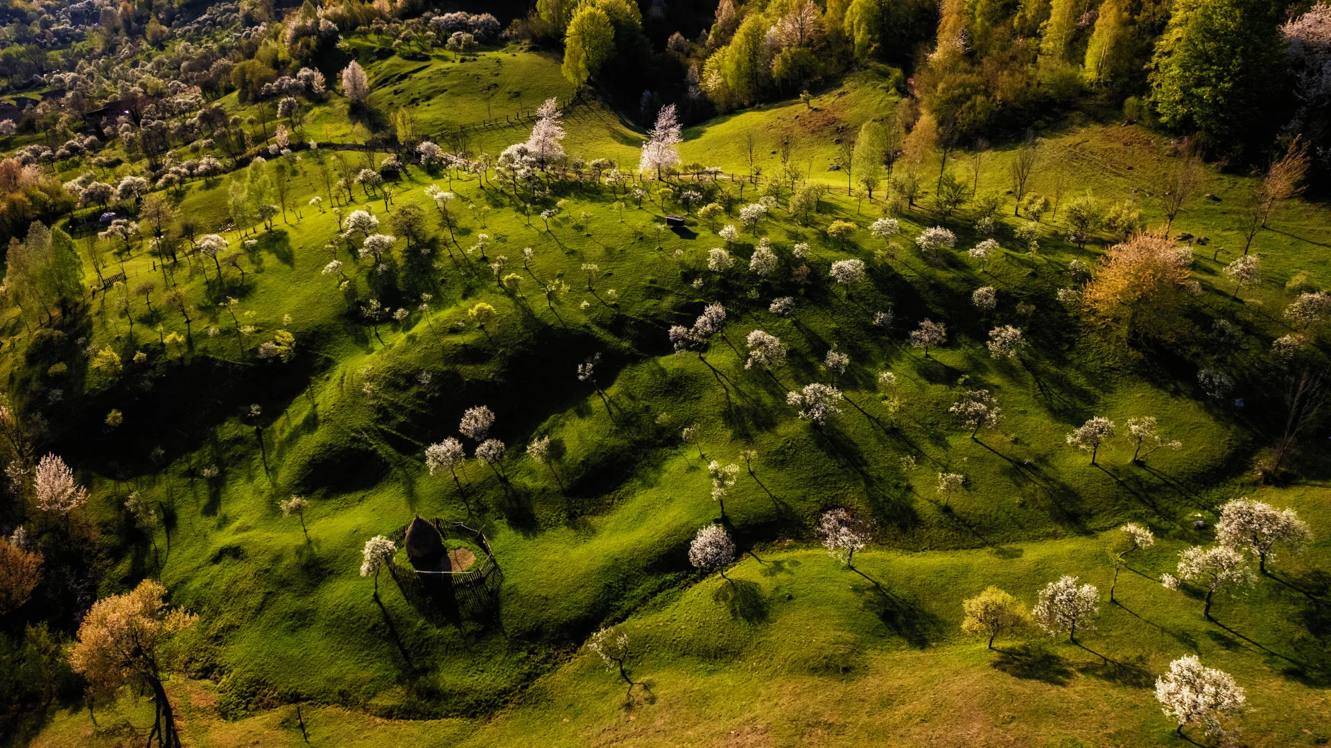 Sate autentice din Romania - Bănița - Merișor - Crivadia 5