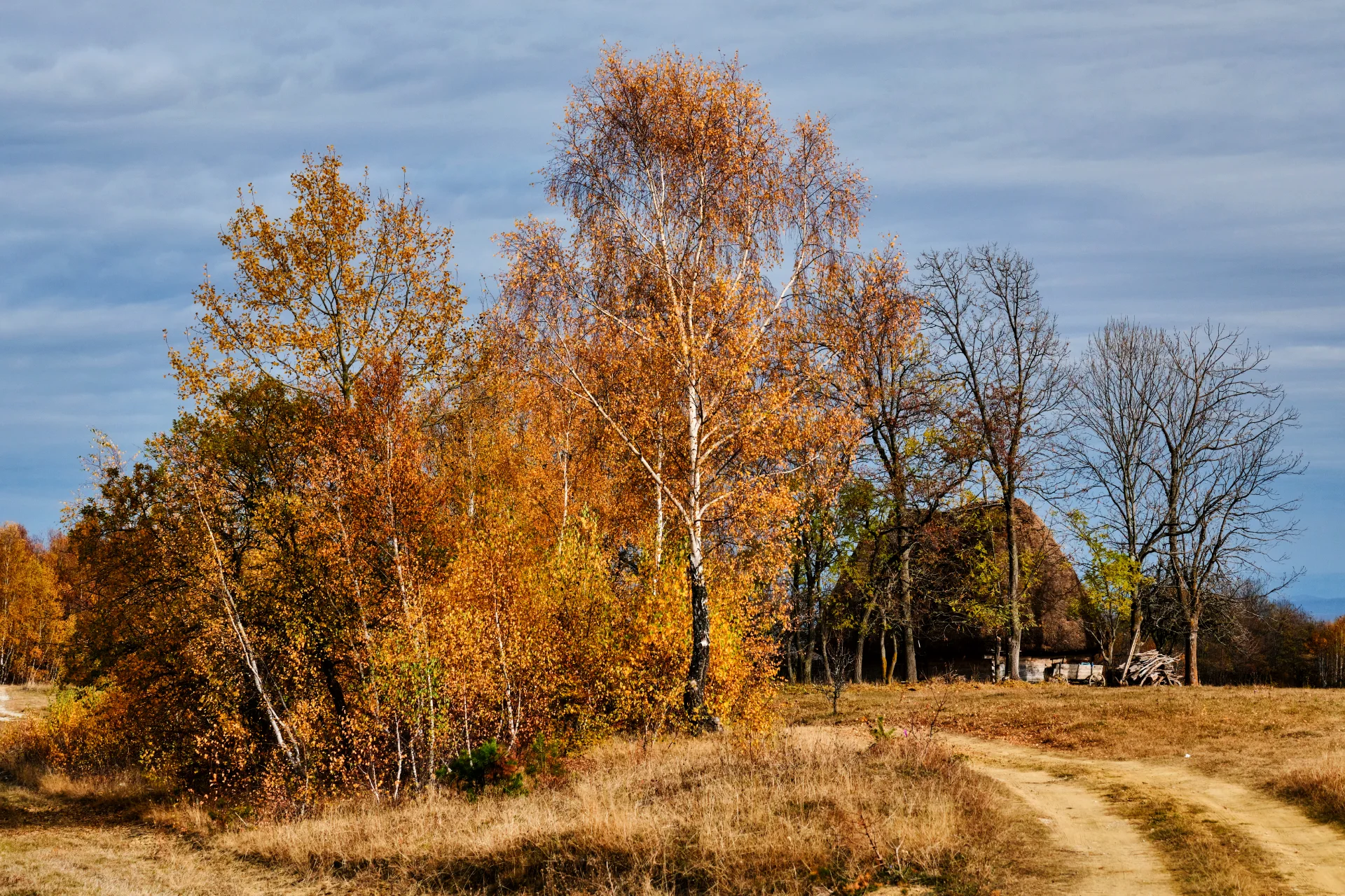 Sate autentice din Romania - Cotorăști - Valea Uzei - Valea Inzelului 3