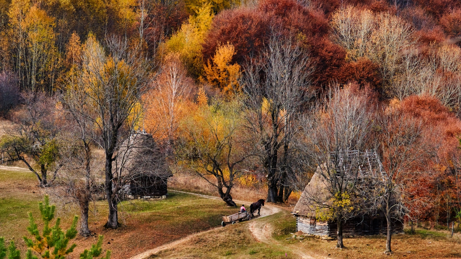 Sate autentice din Romania - Cotorăști - Valea Uzei - Valea Inzelului 4