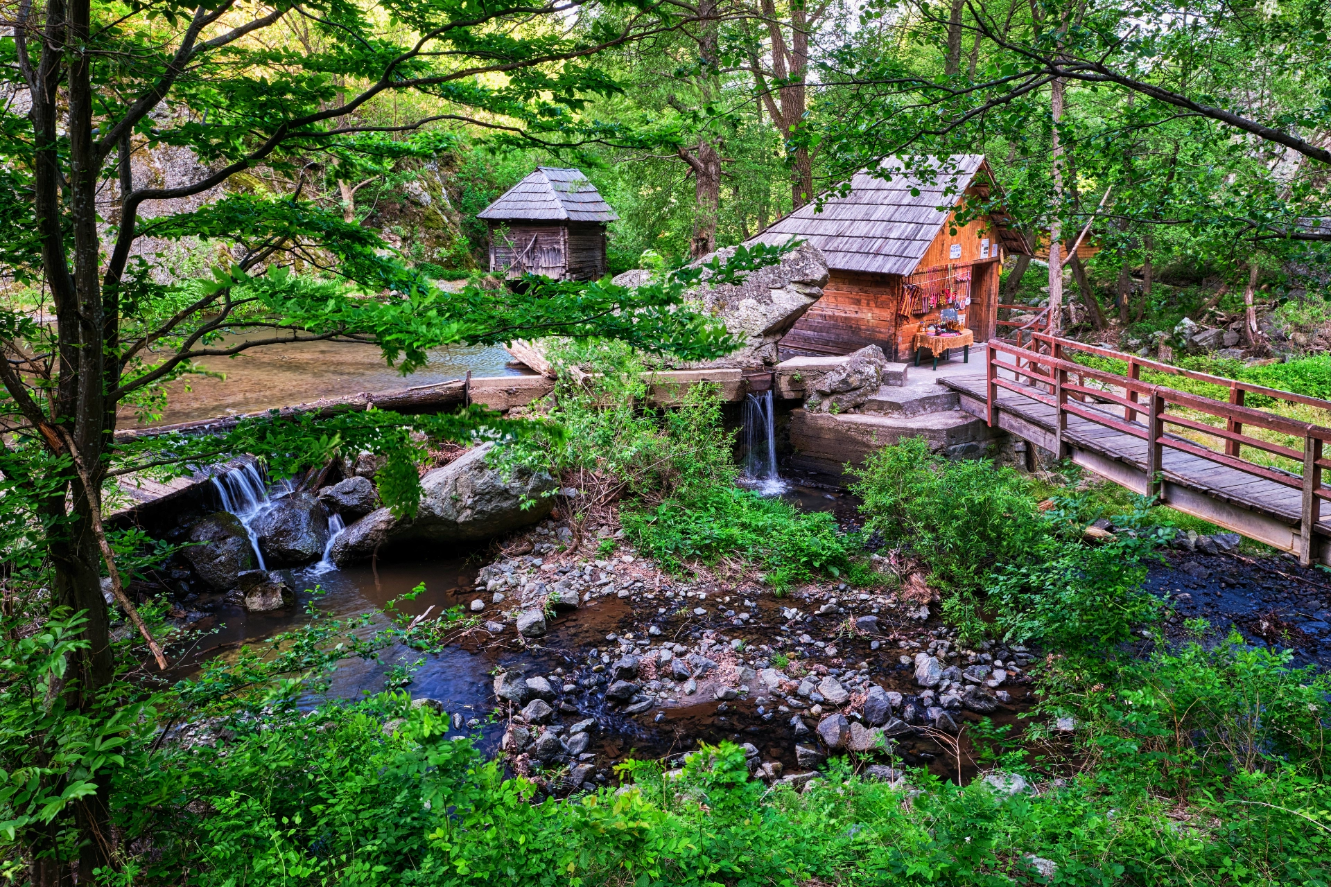 Sate autentice din Romania - Eftimie Murgu 4