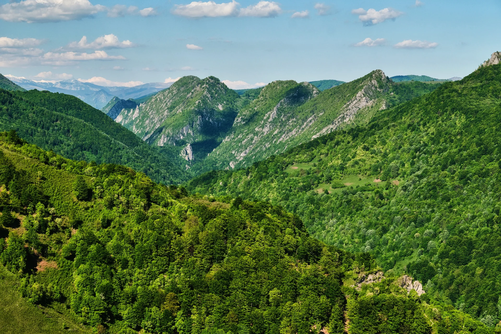 Sate autentice din Romania - Ineleț-Dobraia 1