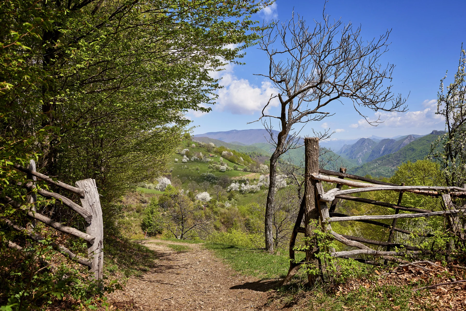 Sate autentice din Romania - Ineleț-Dobraia-Prisăcina 5