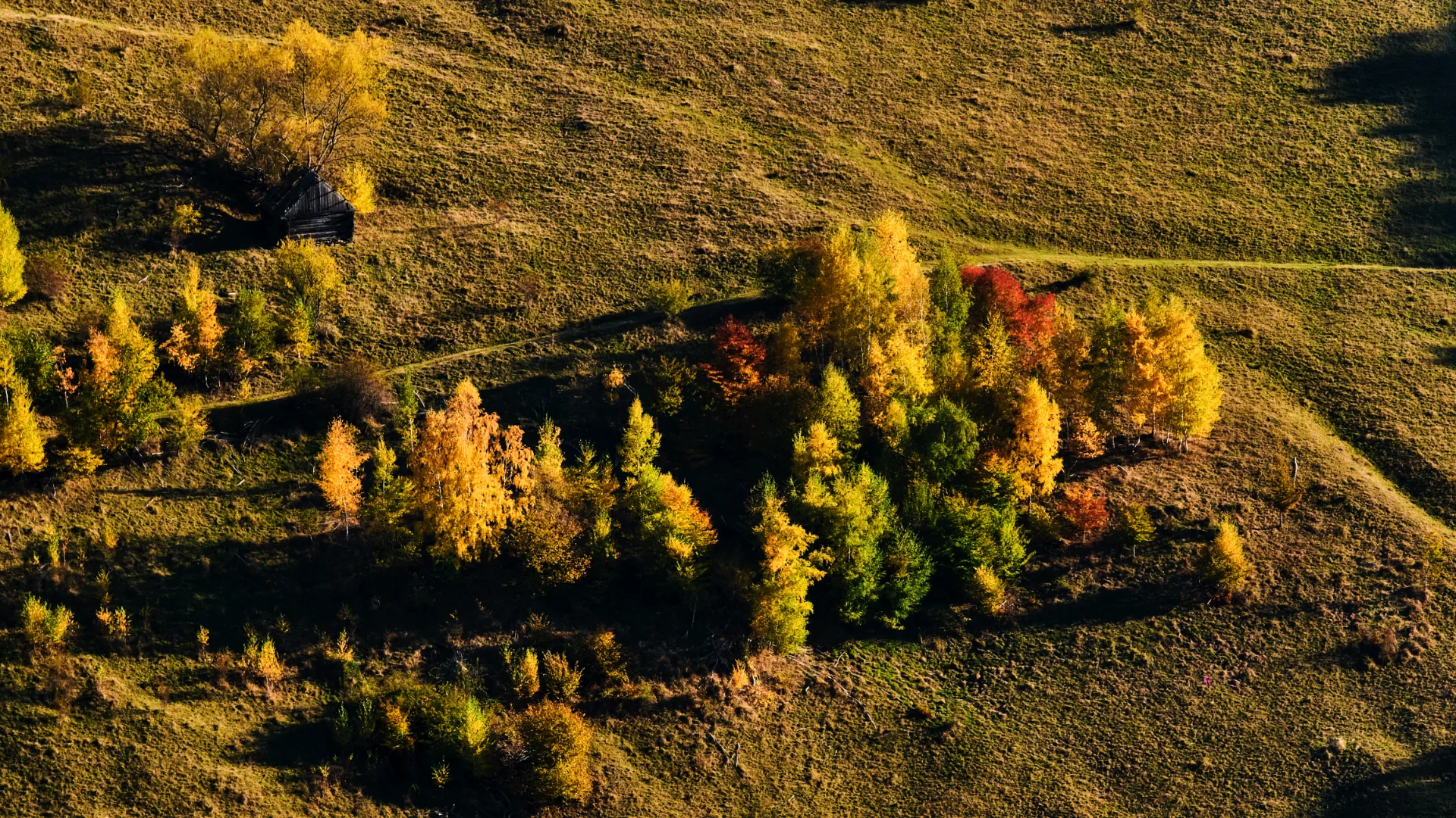 Sate autentice din Romania - Rășinari și Râu Sadului 1