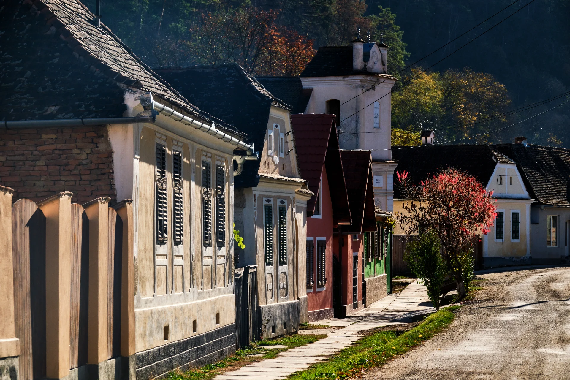Satul Mălâncrav - Colinele Transilvaniei 116