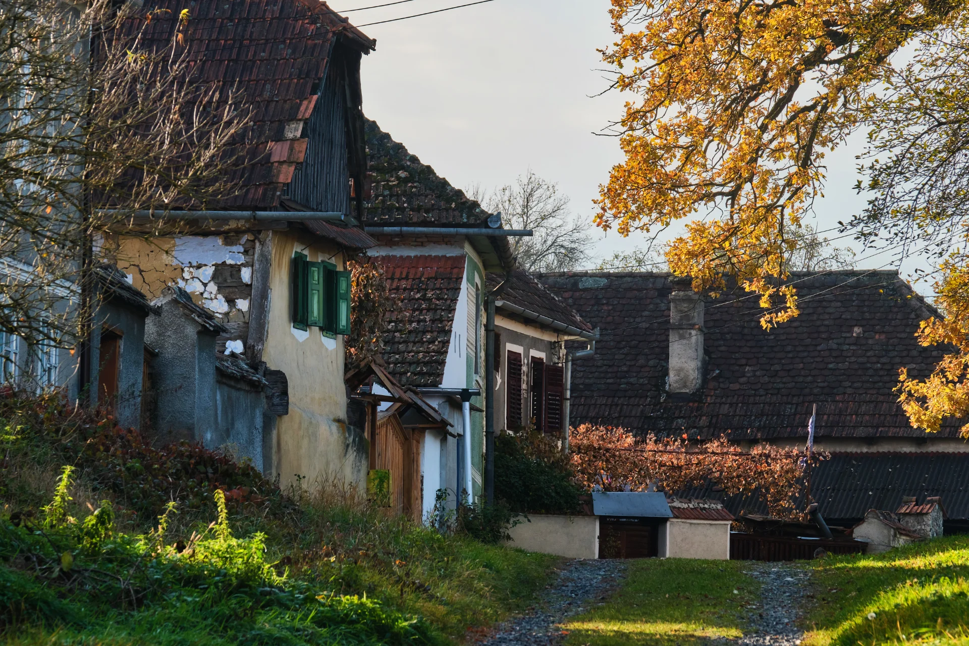 Satul Săsăuș - Colinele Transilvaniei 133