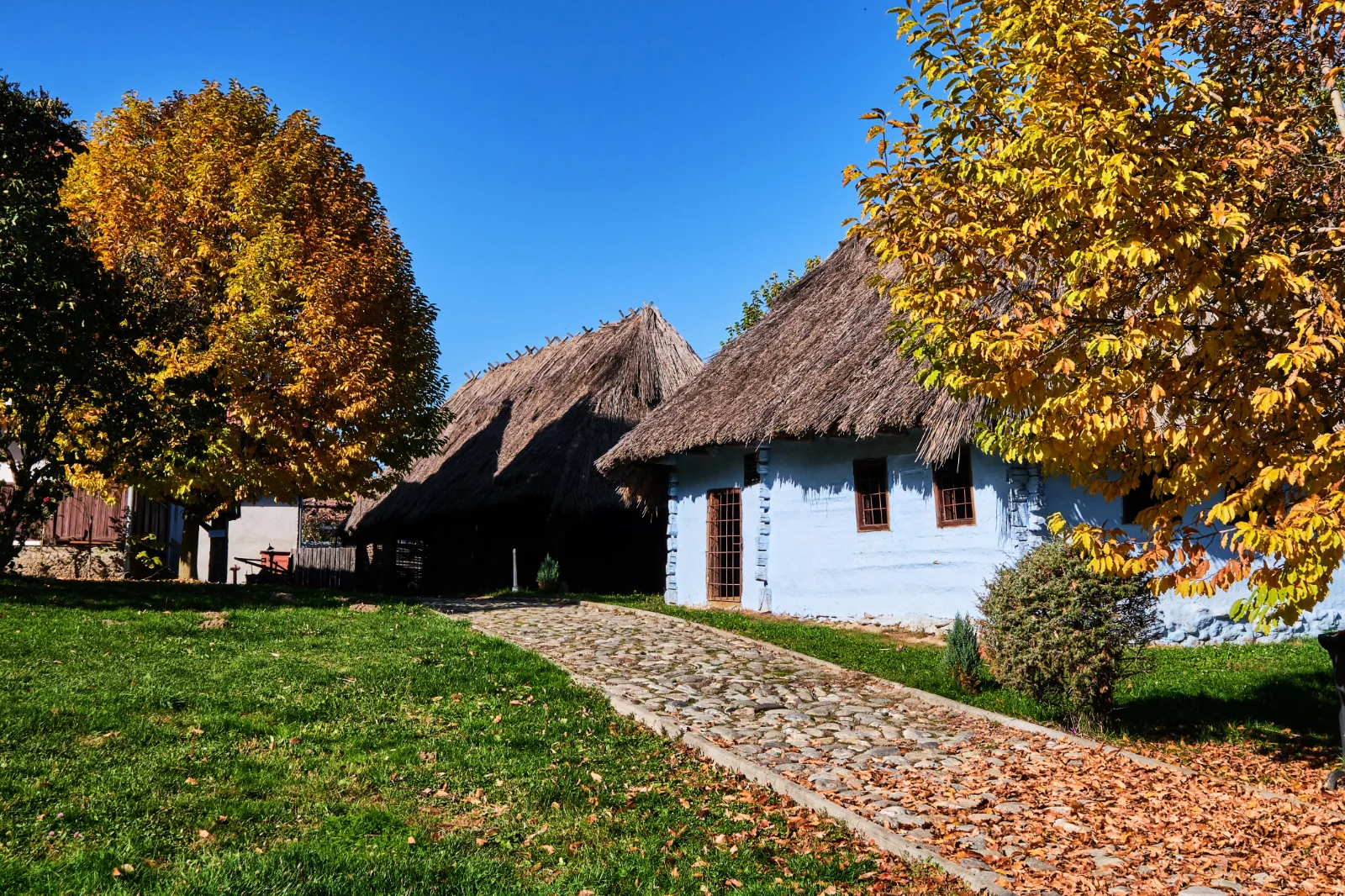 Țara Făgărașului - 100 Destinații România 35 - Muzeul Badea Cârțan