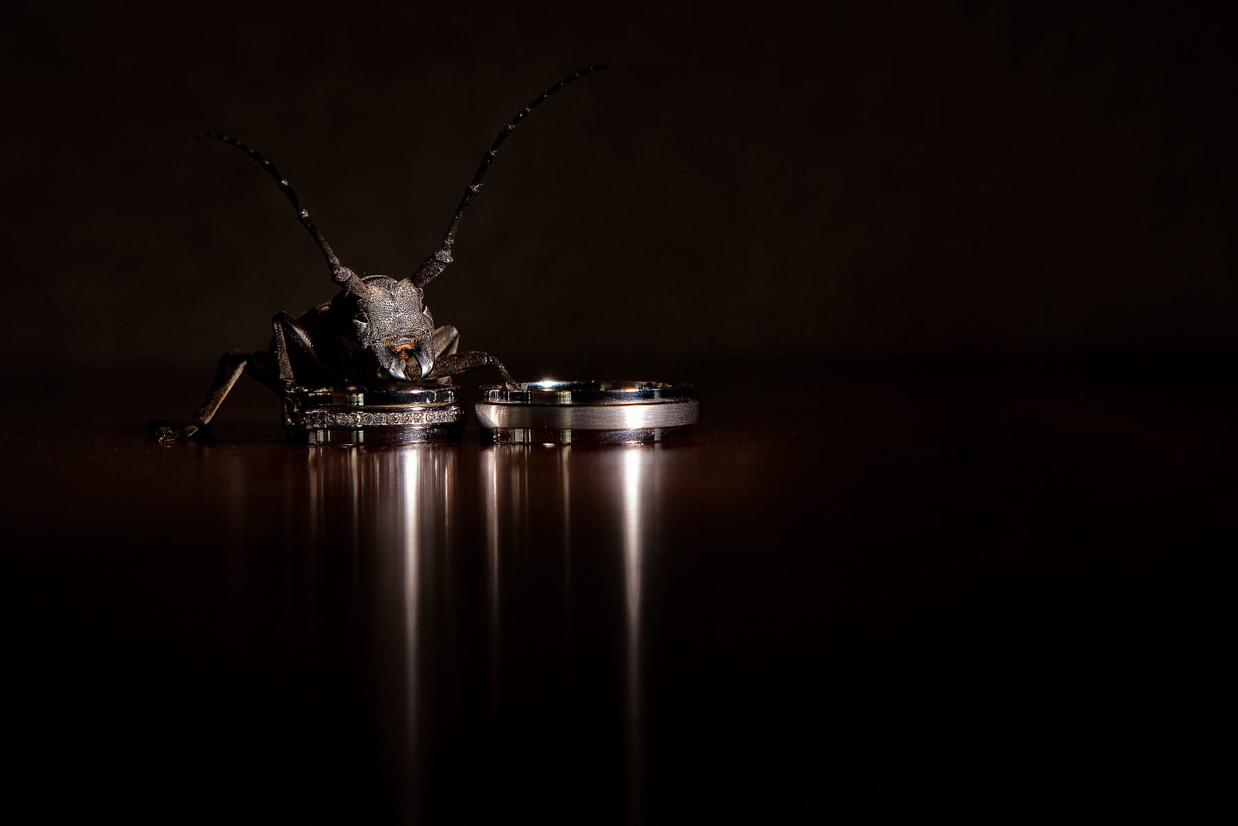 Types Of Photographs You Must Take During A Wedding13