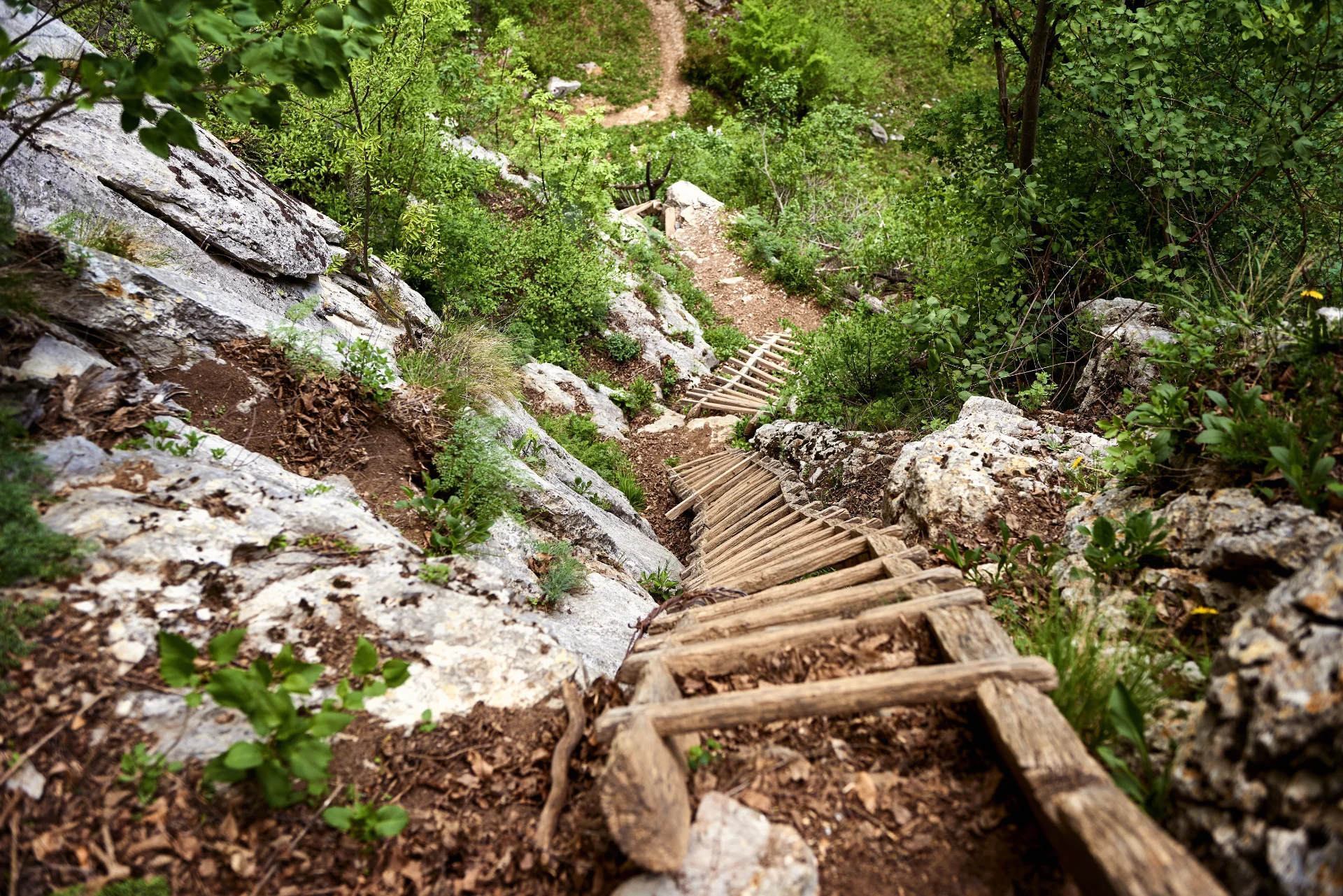 Remote Villages of Cerna Mountains - Ineleț and Scărișoara 07