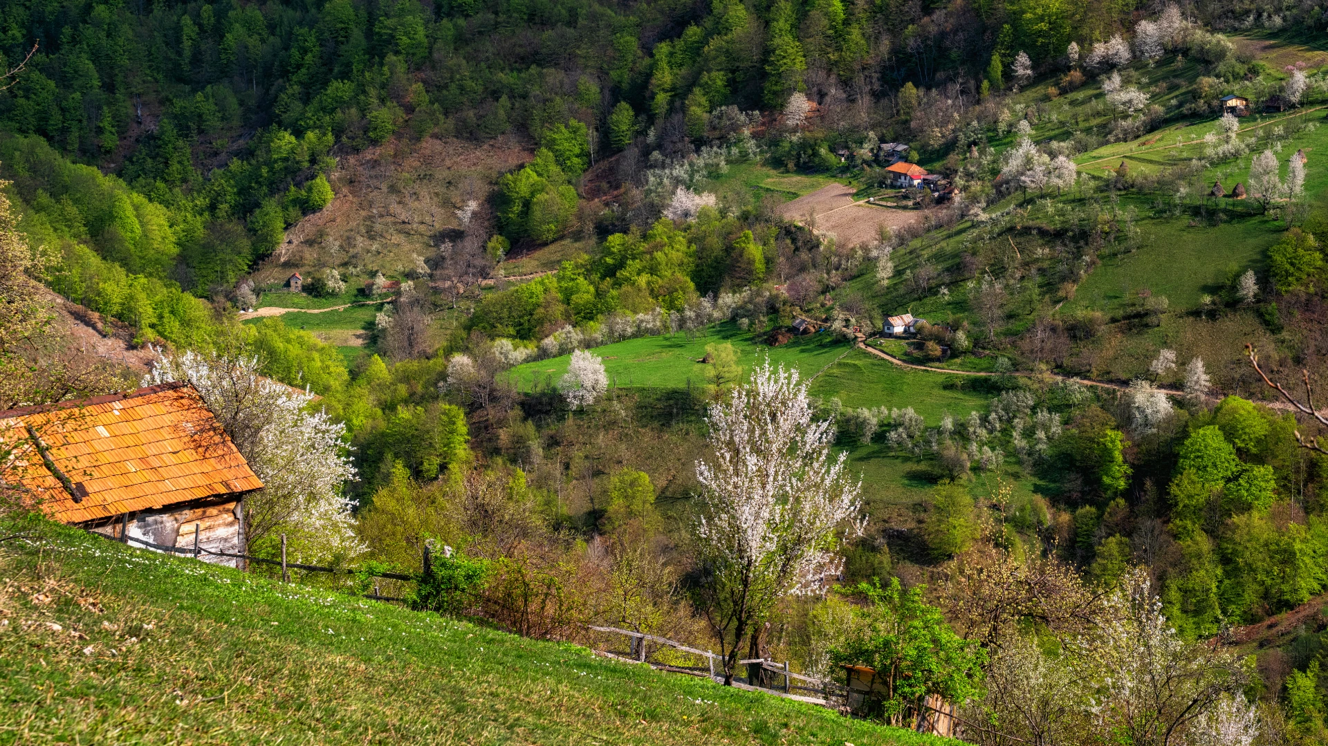 Remote Villages of Romania - Ineleț and Prisăcina 1