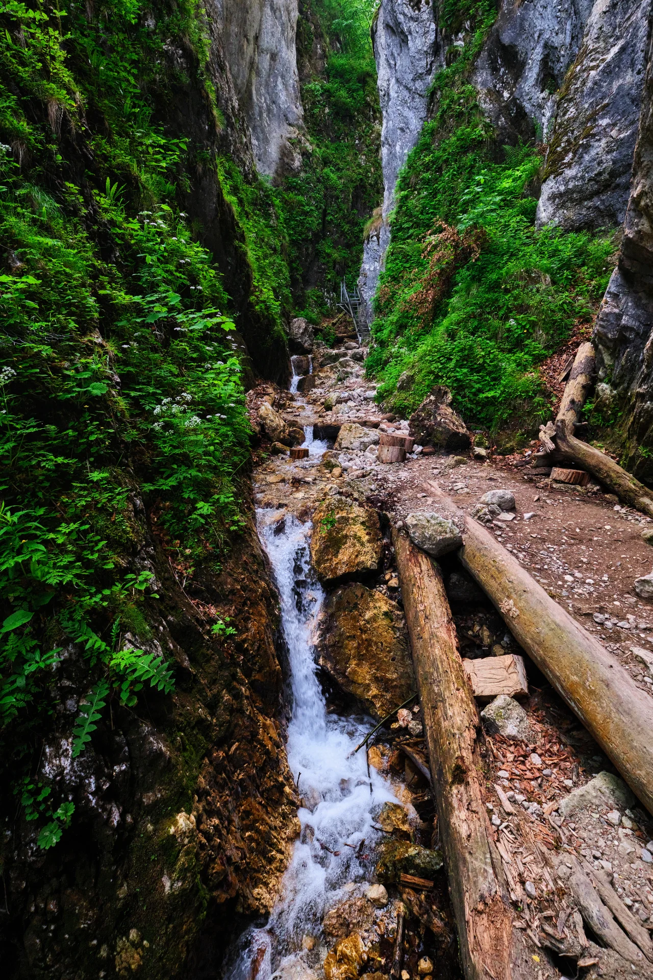 Seven Ladders Canyon in Brasov Romania 05