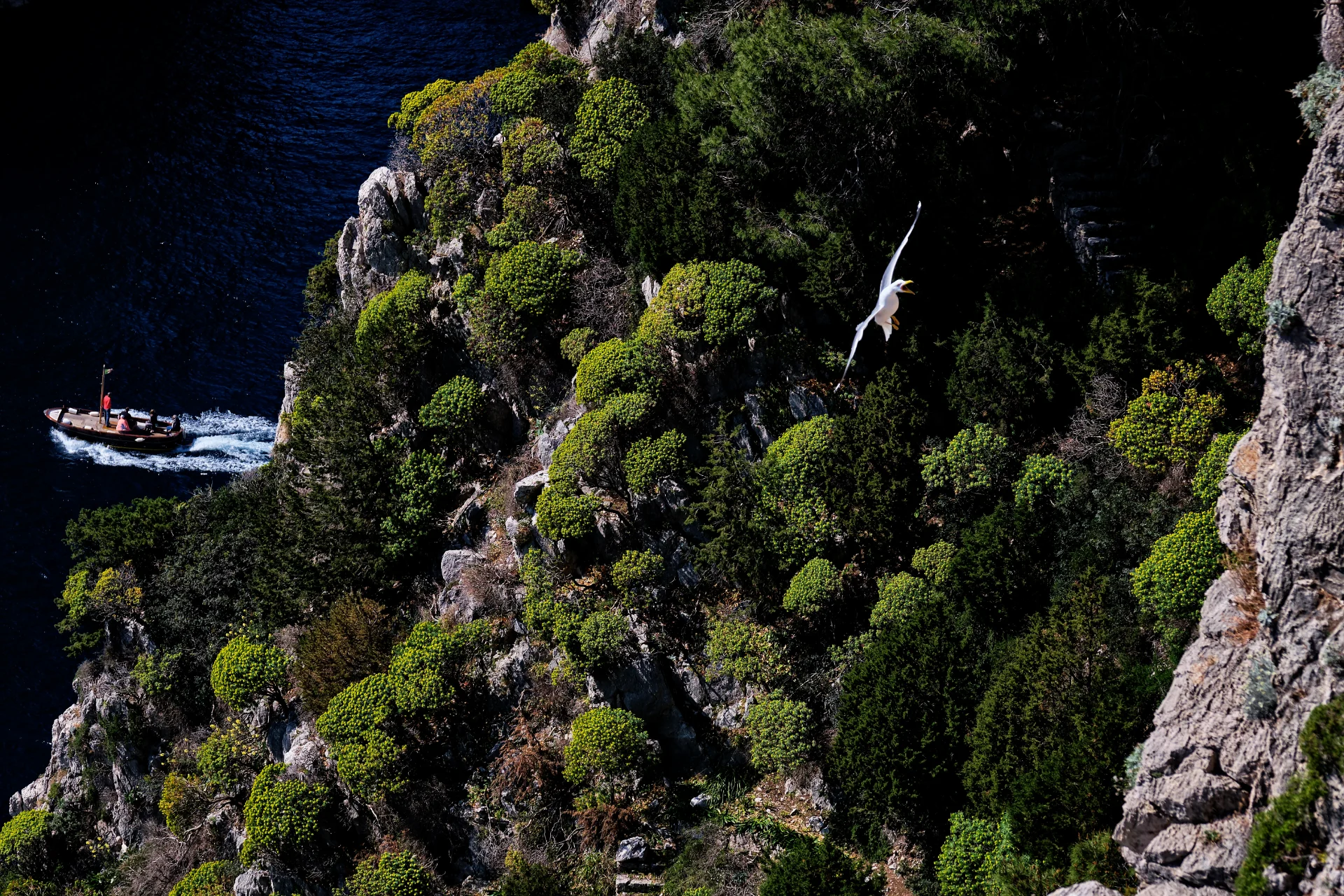 Capri Italy - Trip to the Island of Dreams 06