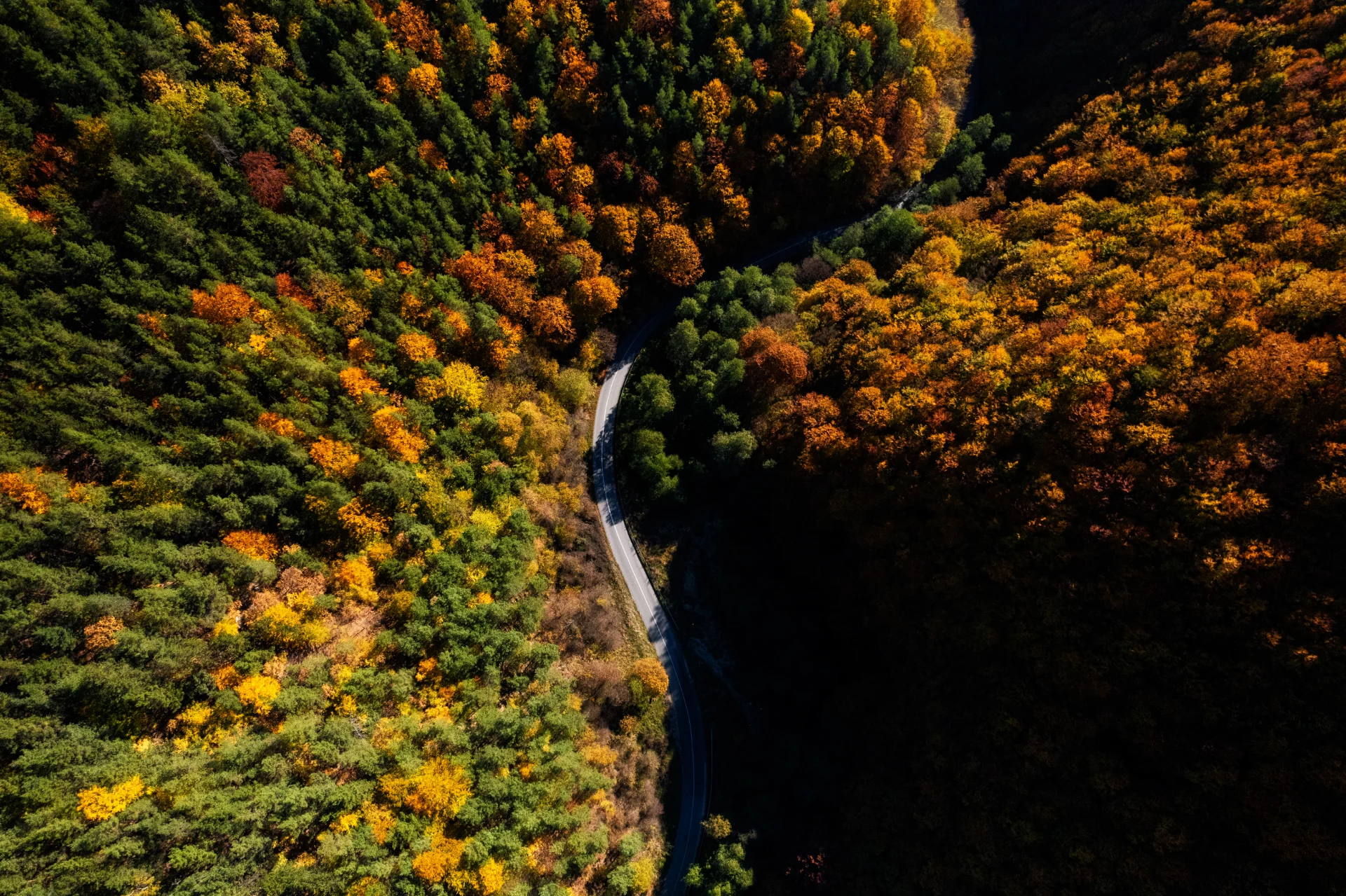 Mărginimea Sibiului - Destinații România 12 - Valea Săliștei