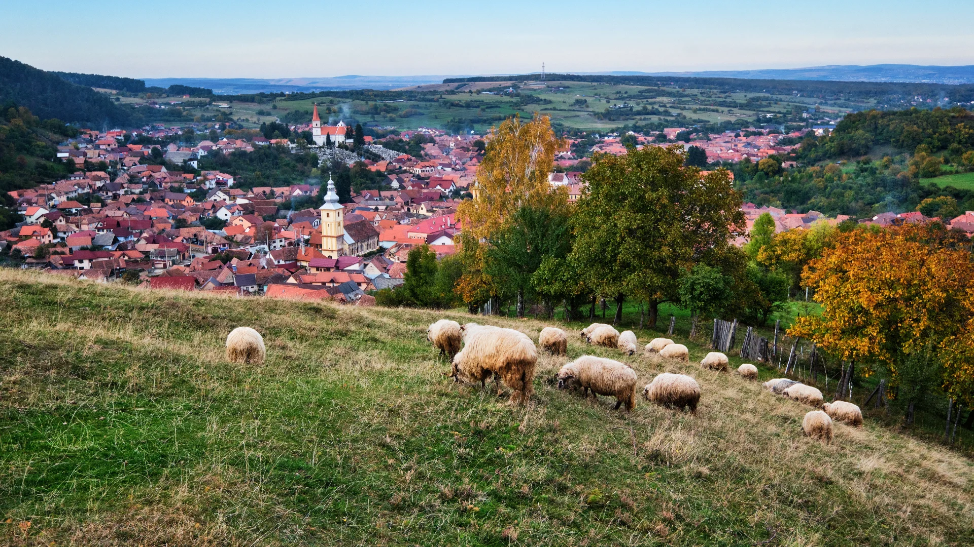 Mărginimea Sibiului - Destinații România 37 - Satul Rășinari