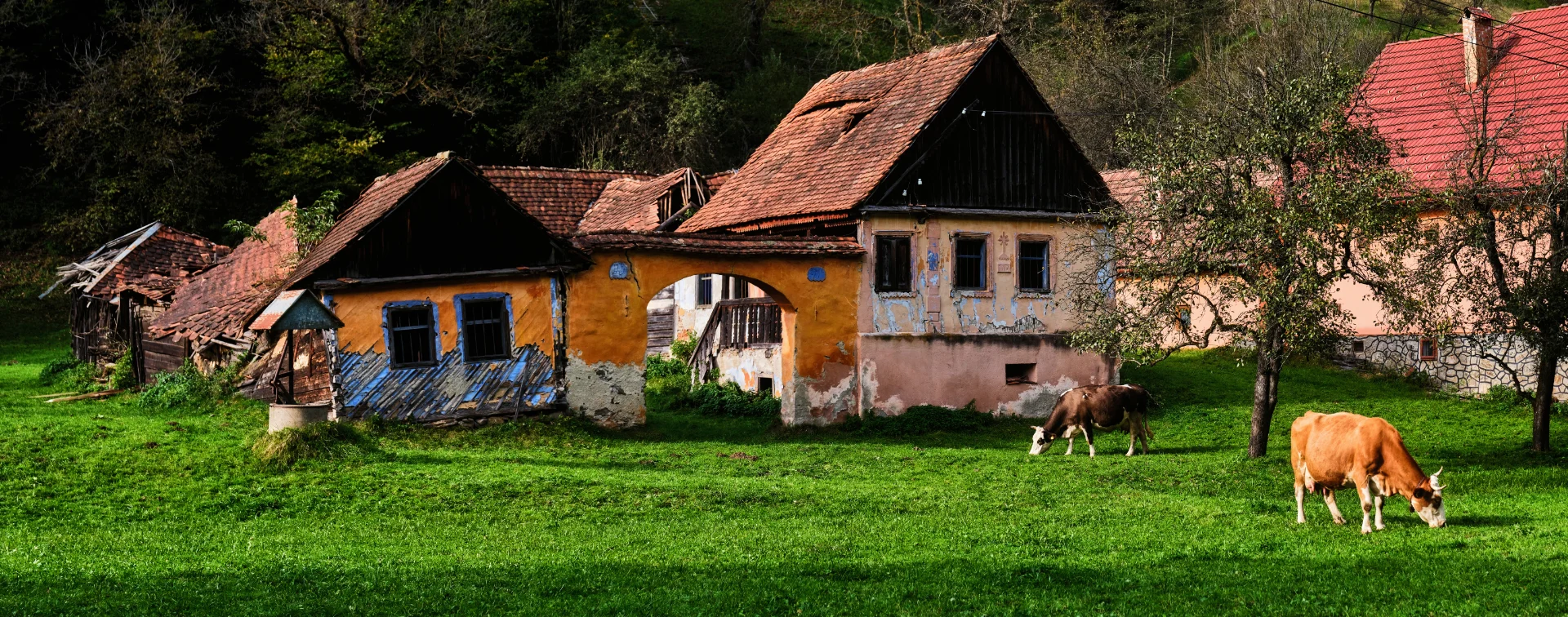 Mărginimea Sibiului - Destinații România 51 - Satul Râul Sadului