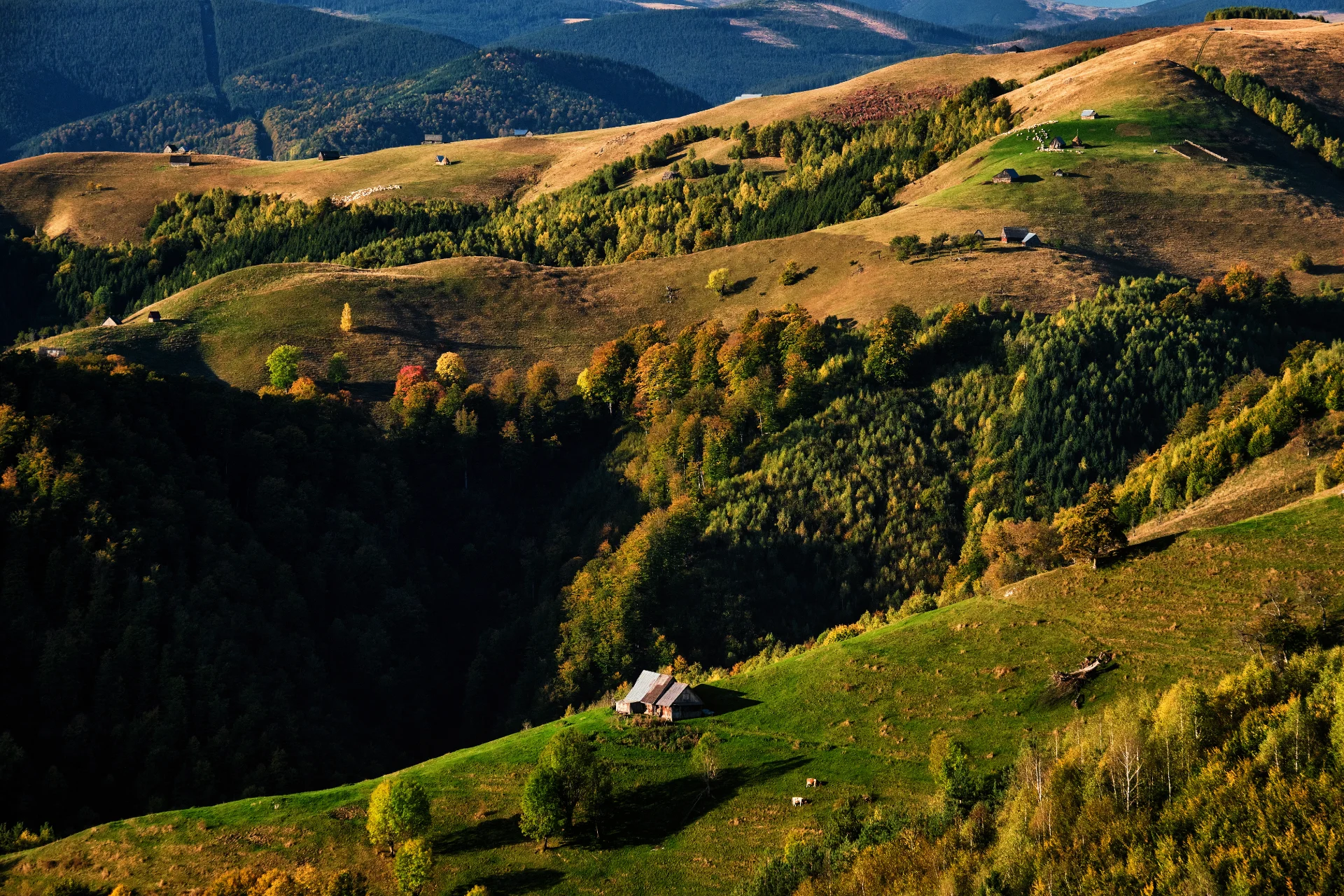 Zona Rurală Mărginimea Sibiului