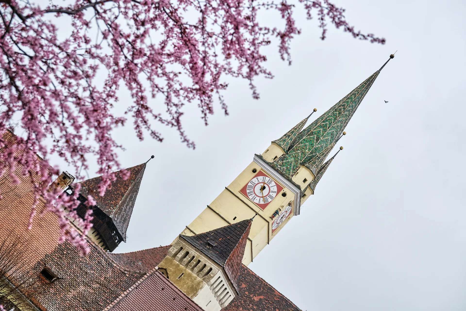 Orașul Mediaș - Ghid Turistic 06 - Biserica Sf. Margareta
