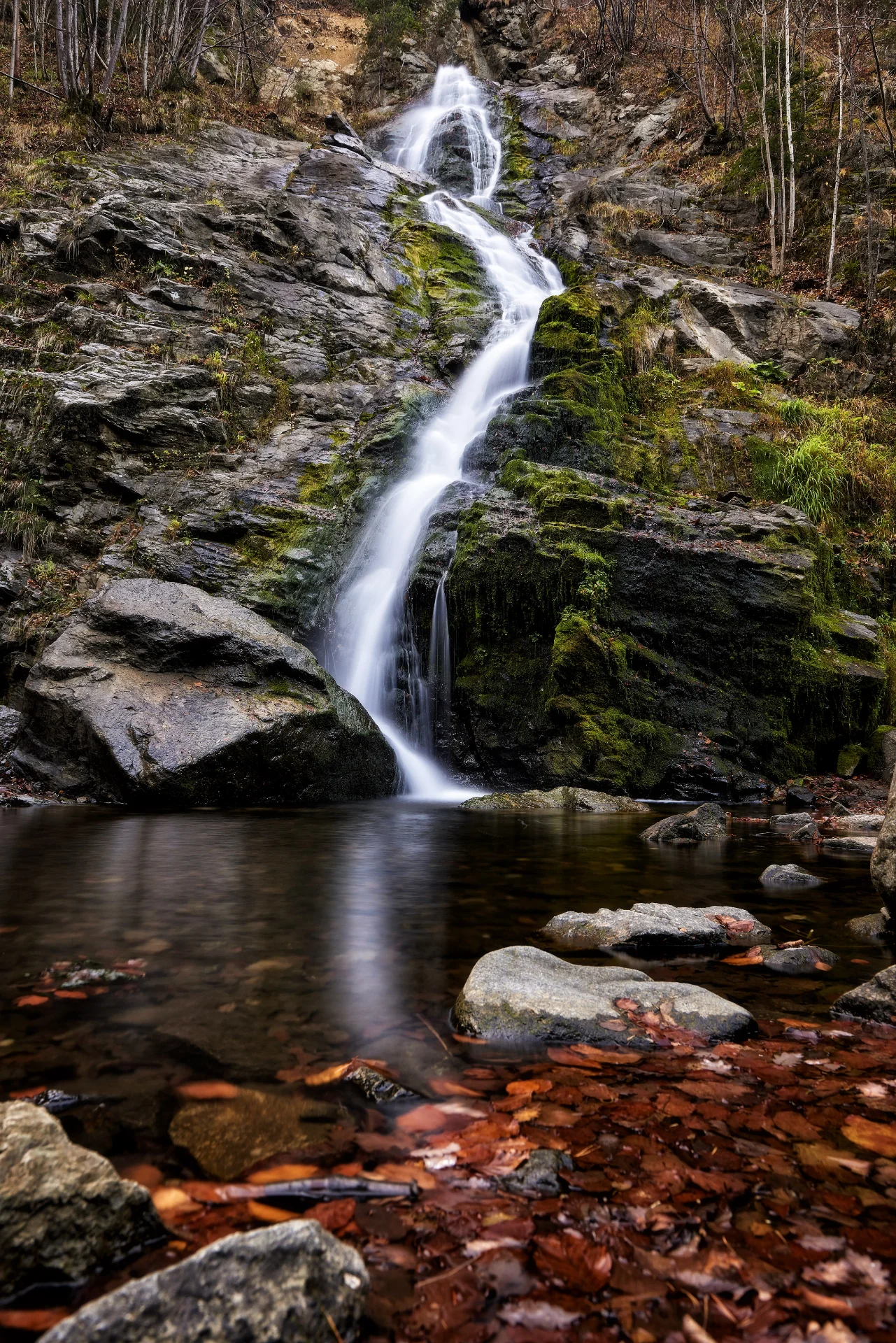 Parcul Național Cozia - Destinații România 04 - Cascada Lotrișor
