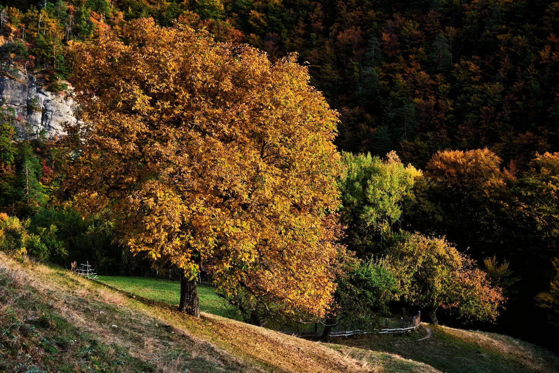 Parcul Național Cozia - Destinații România 23 -