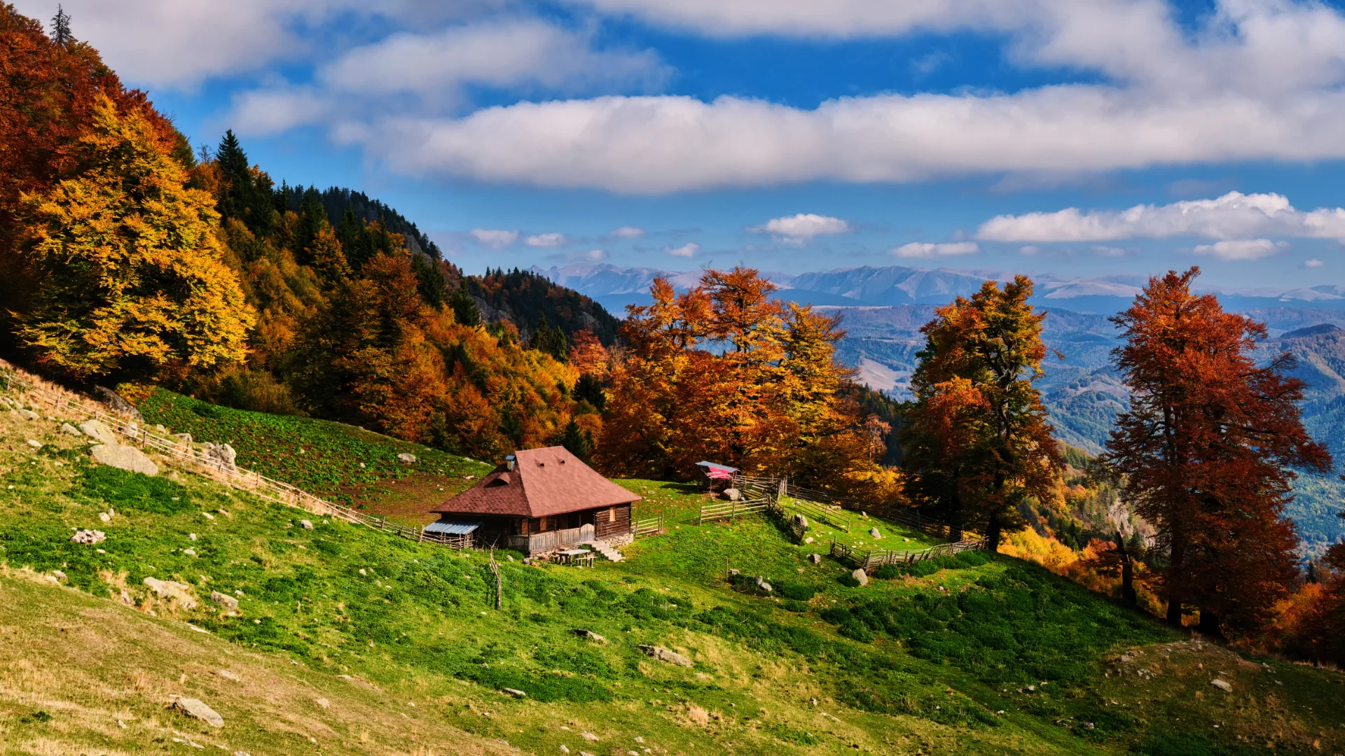 Parcul Național Cozia - Destinații România 33 - Stâna Mocirle