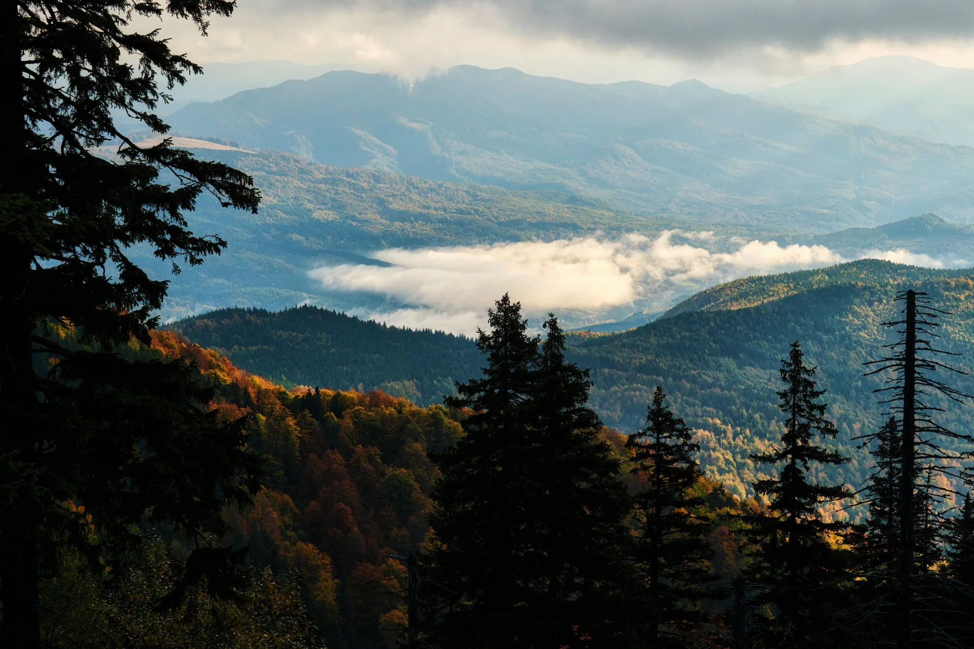 Parcul Național Cozia - Destinații România 47 -