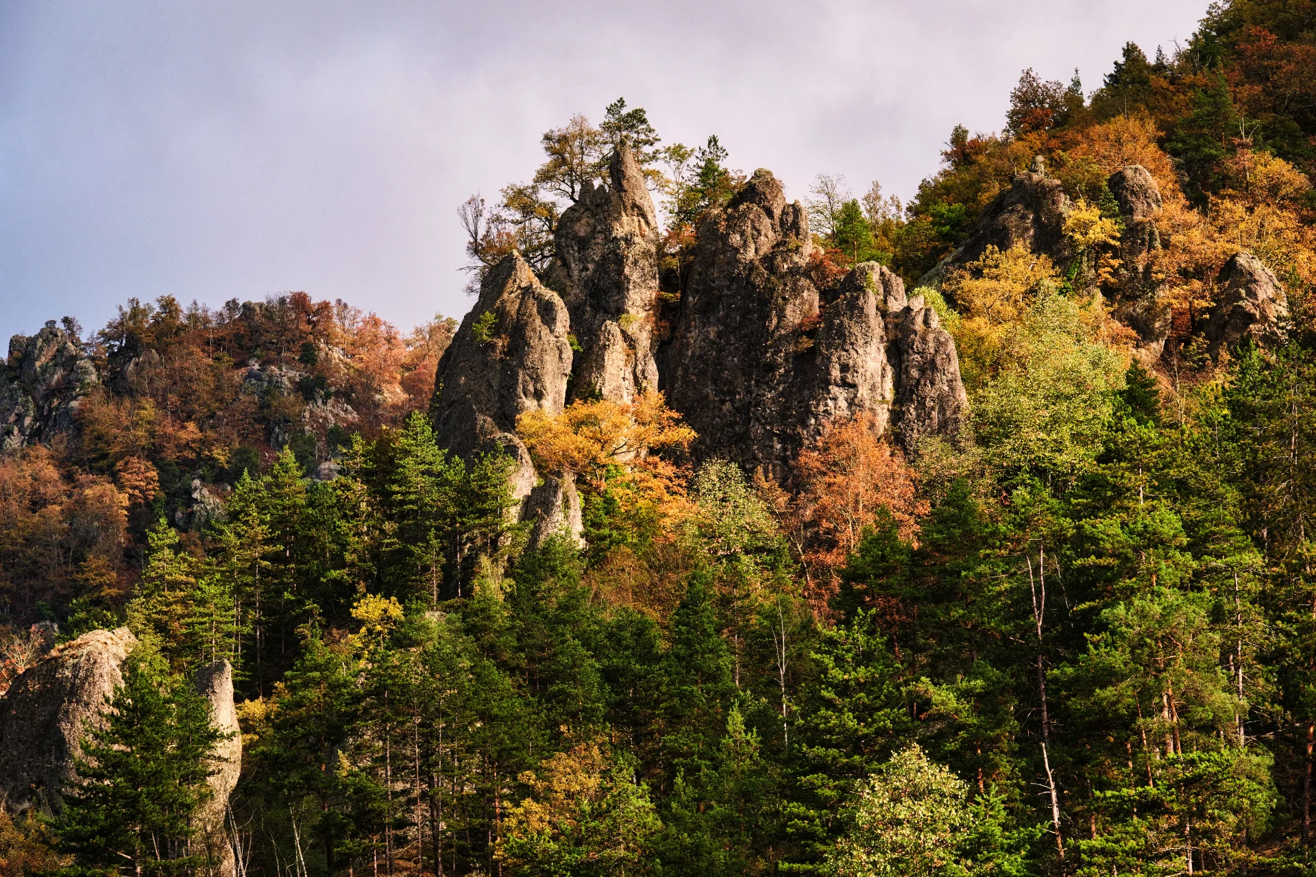 Parcul Național Cozia - Destinații România 52 - Valea Călinești