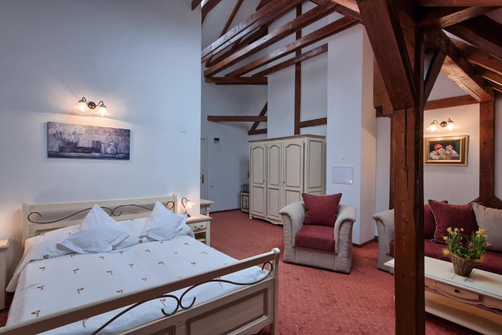 Recomandări Cazare în Mediaș - Hotel Traube