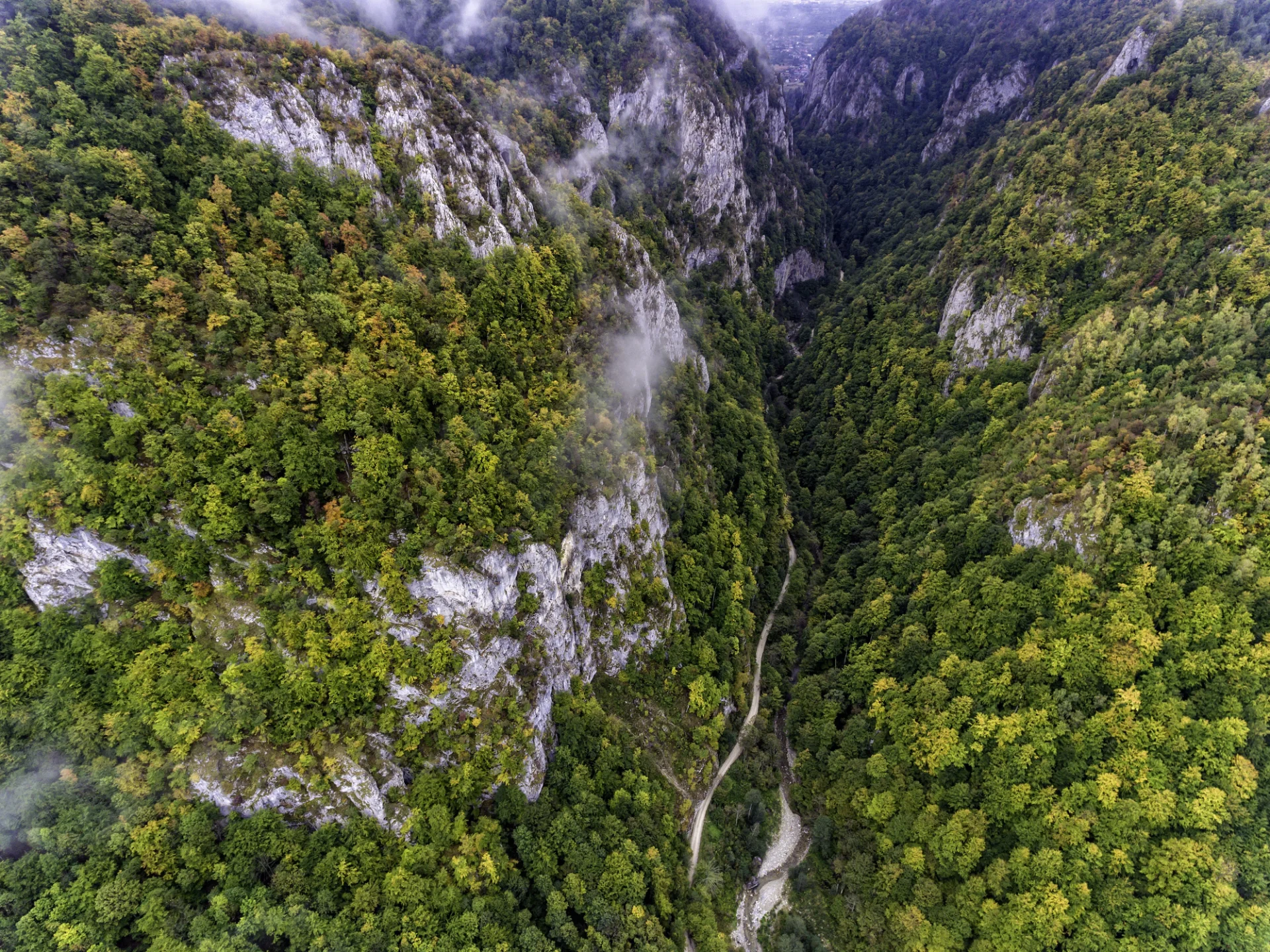 Cheile Oltețului - Muntii Parâng - Destinații România 076