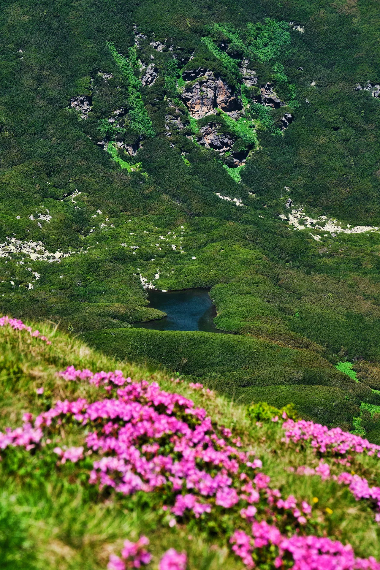 Iezerul Mic - Parcul Natural Cindrel - Destinații România 24