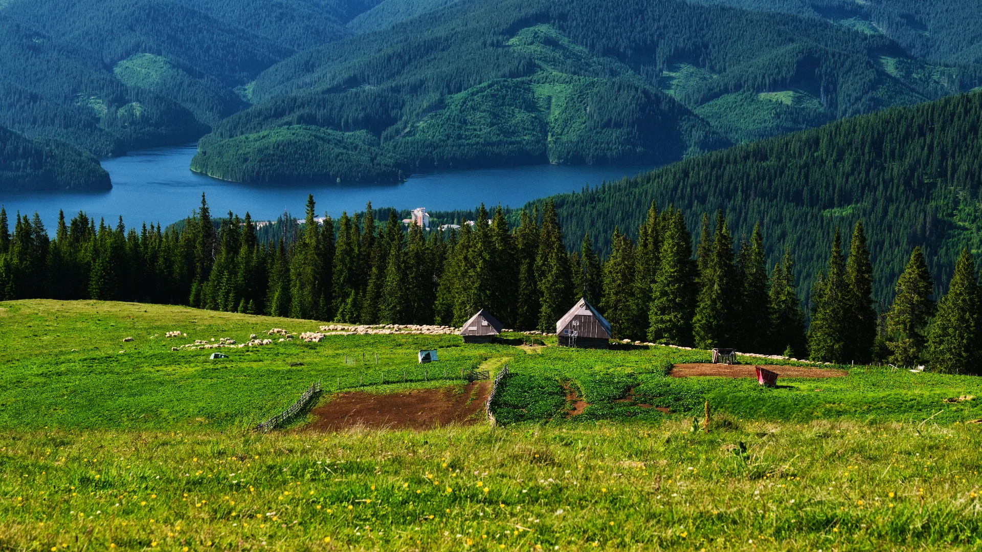 Lacul Vidra și Muntii Latoriței - Destinații România 148