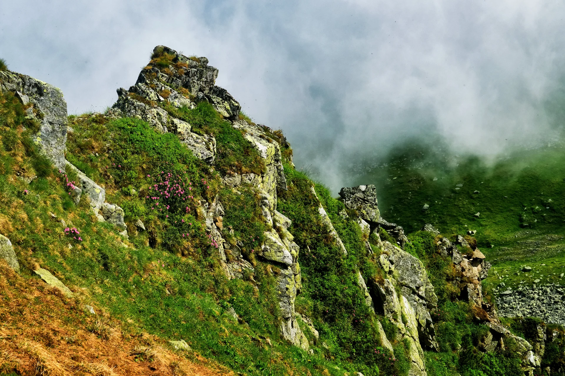 Muntii Parâng - Destinații România 057