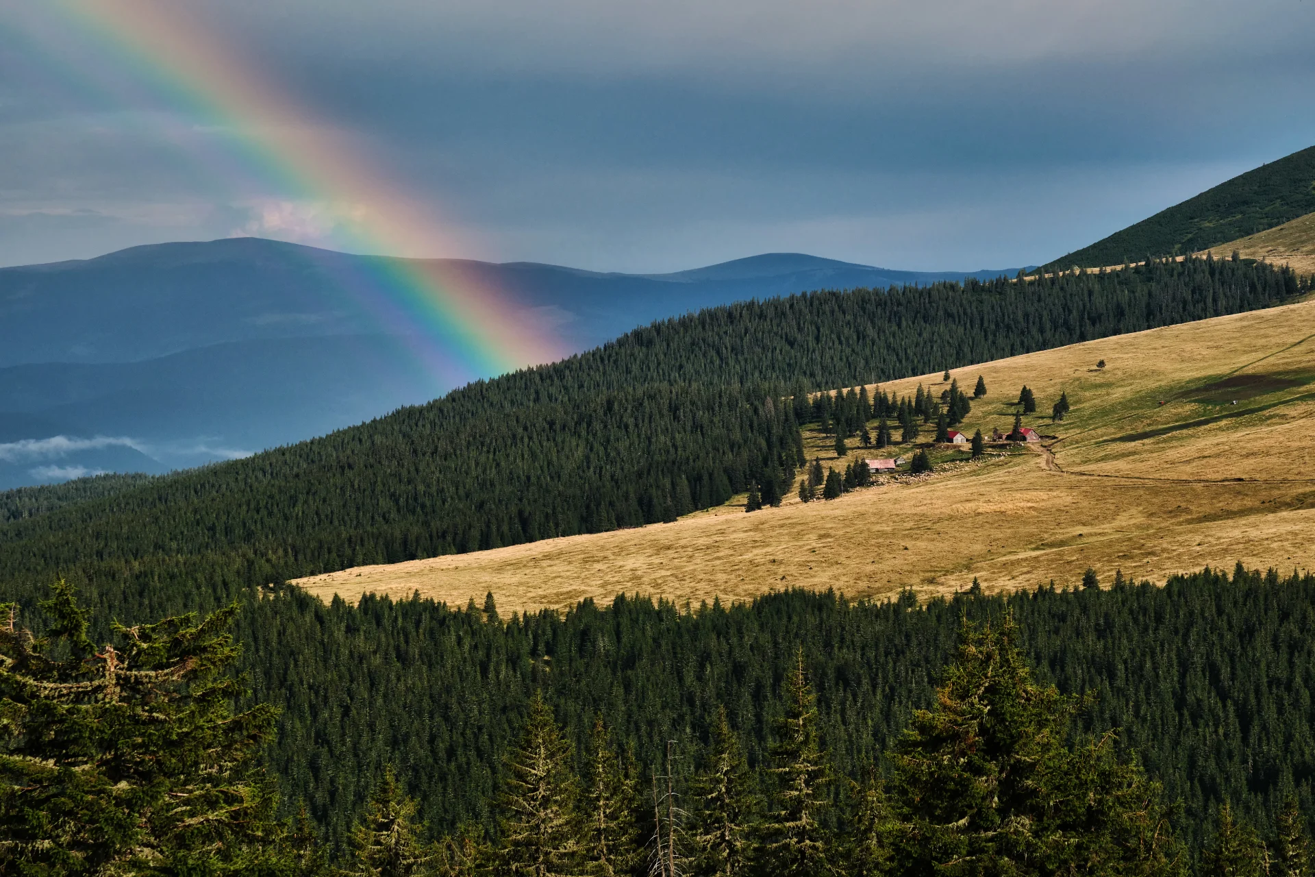 Munții Șureanu - Șoseaua Transalpina - Destinații România 99