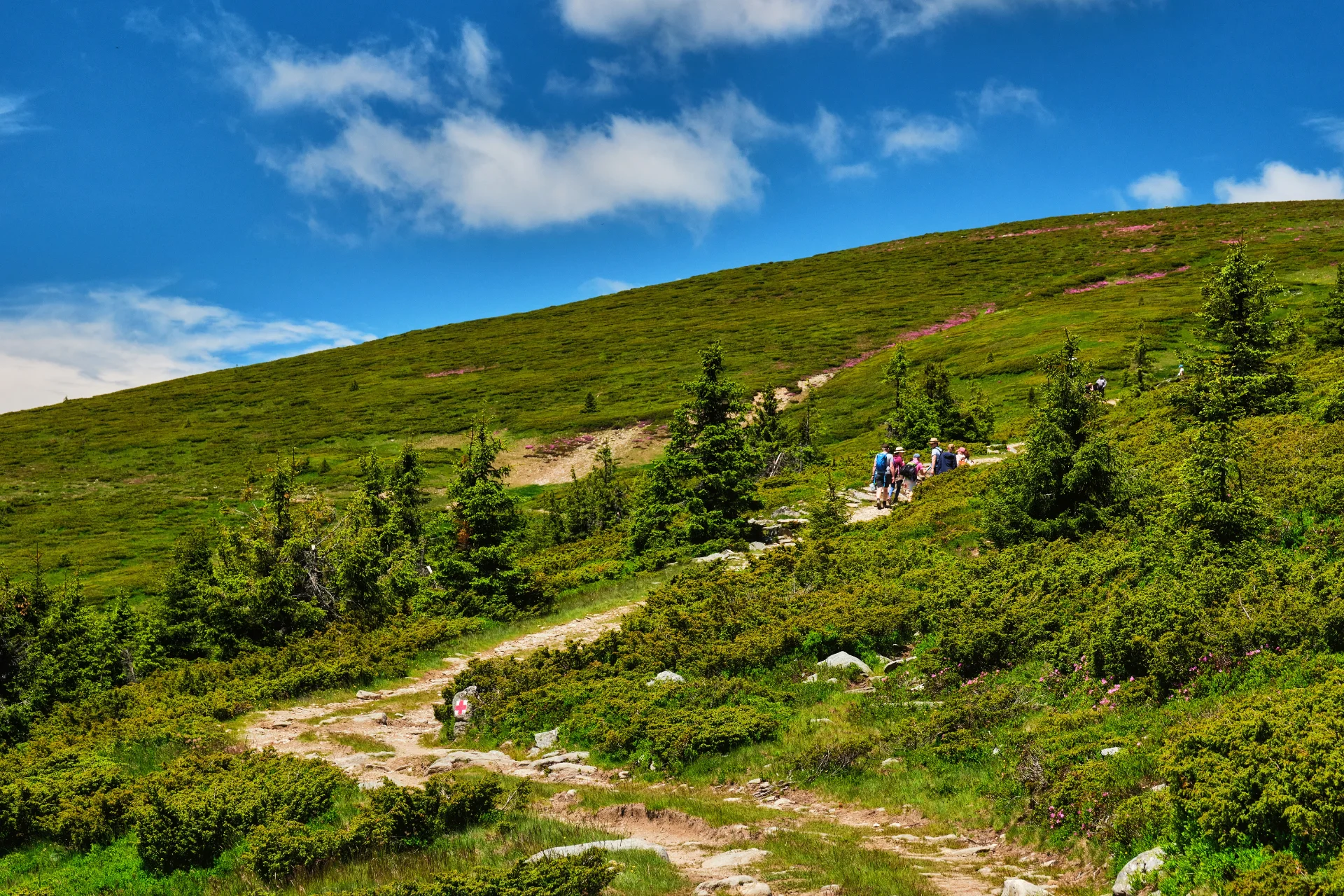 Parcul Natural Cindrel - Destinații România 33