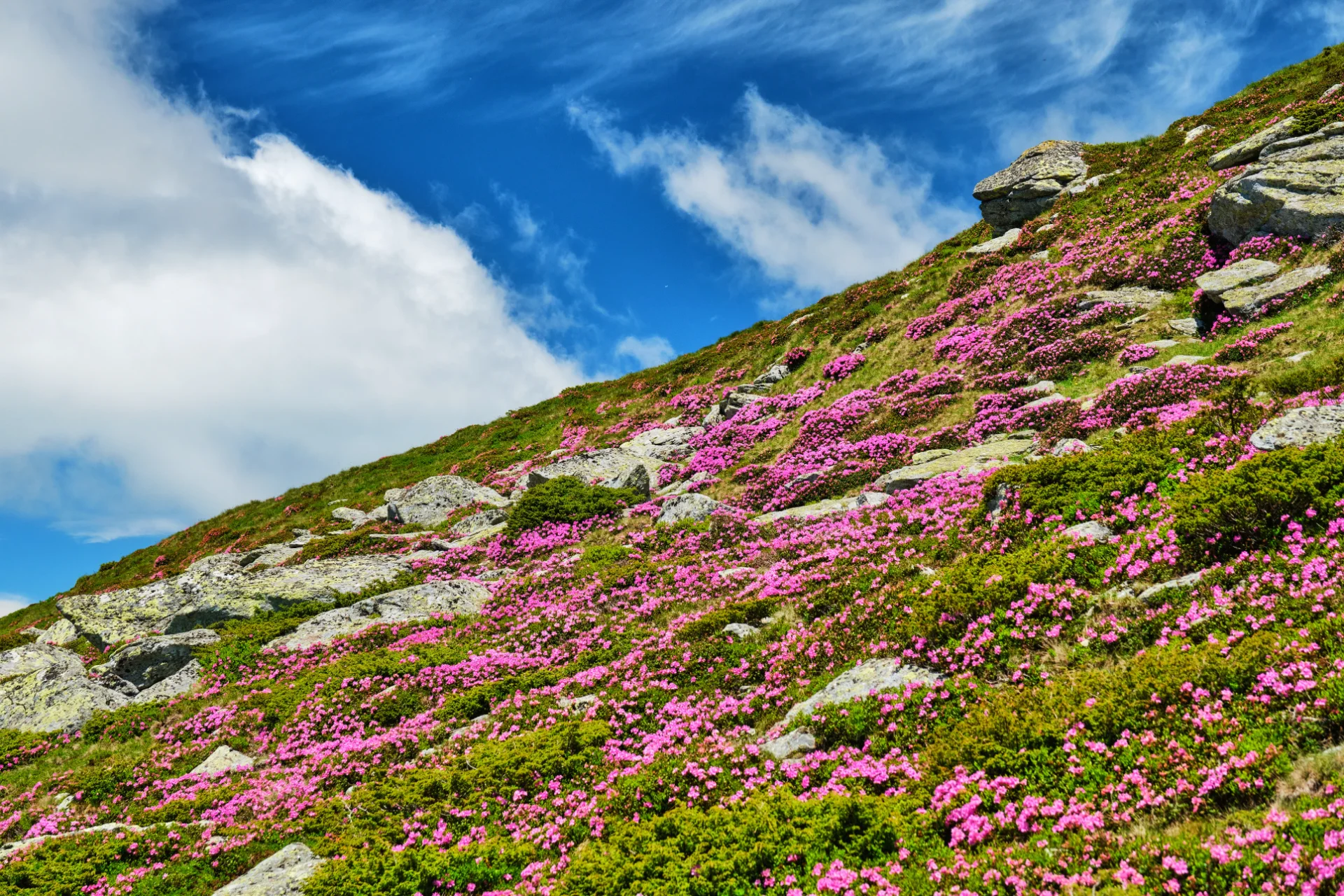 Platoul Diavolului - Parcul Natural Cindrel - Destinații România 31