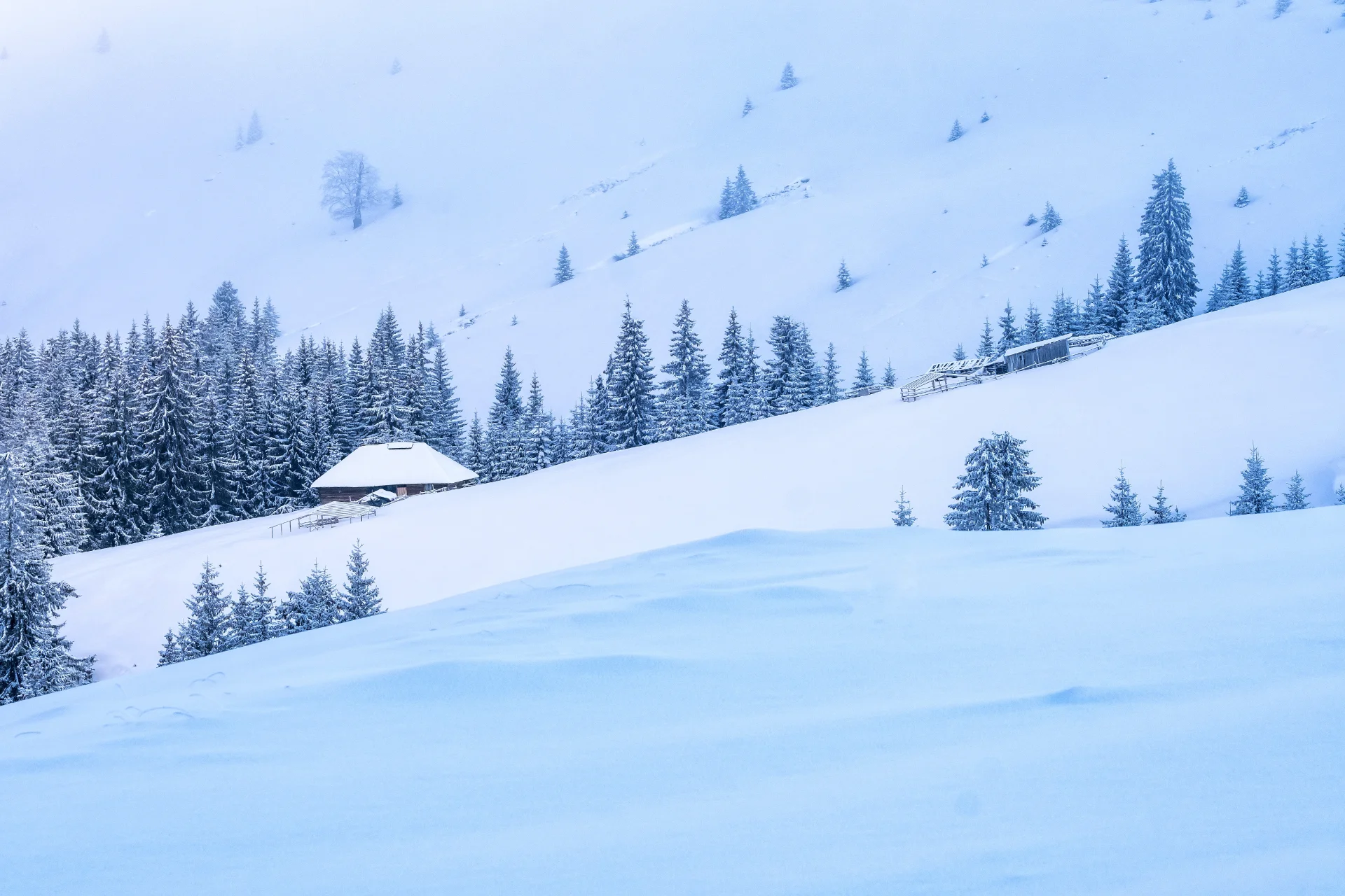 Șoseaua Transalpina - Destinații România 40