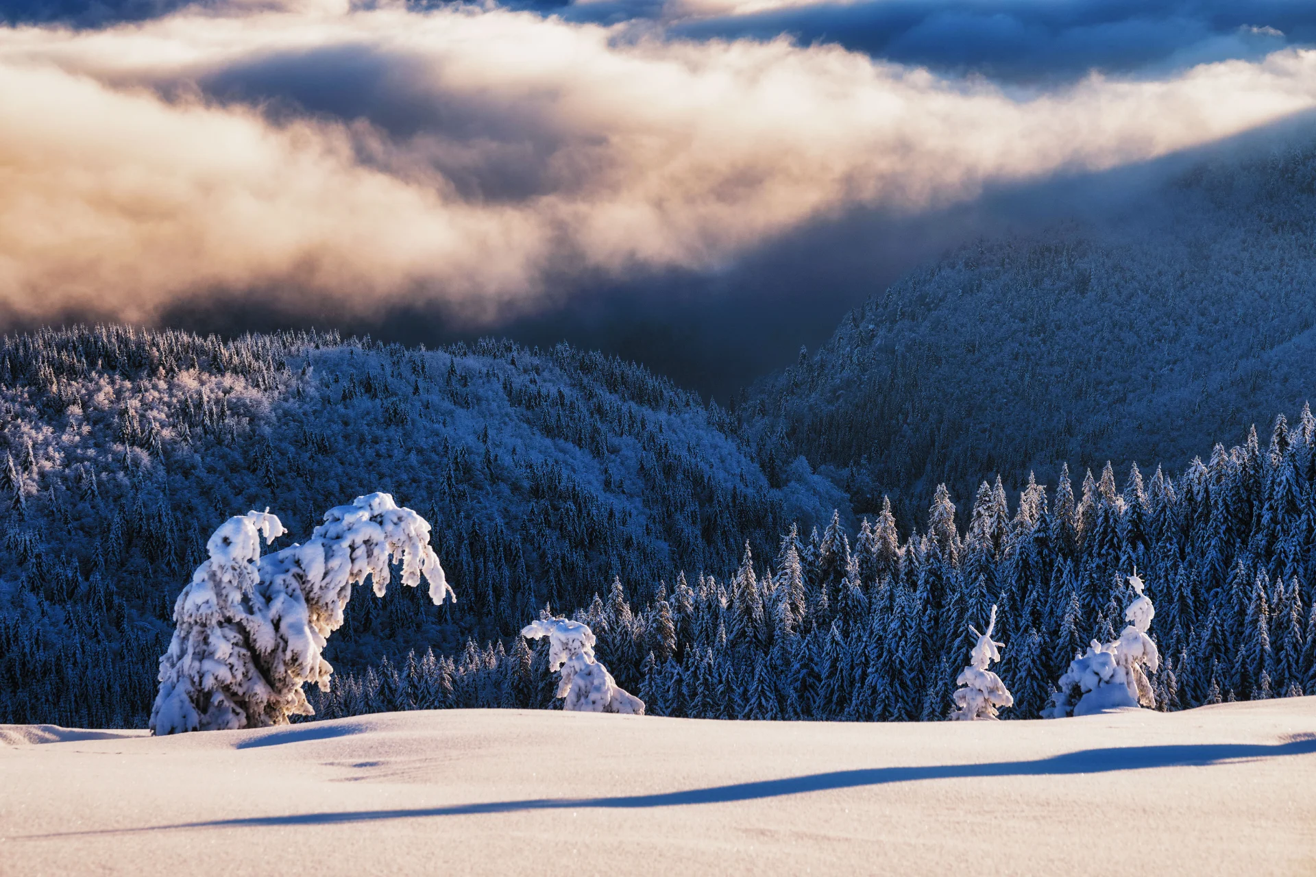 Șoseaua Transalpina - Destinații România 41