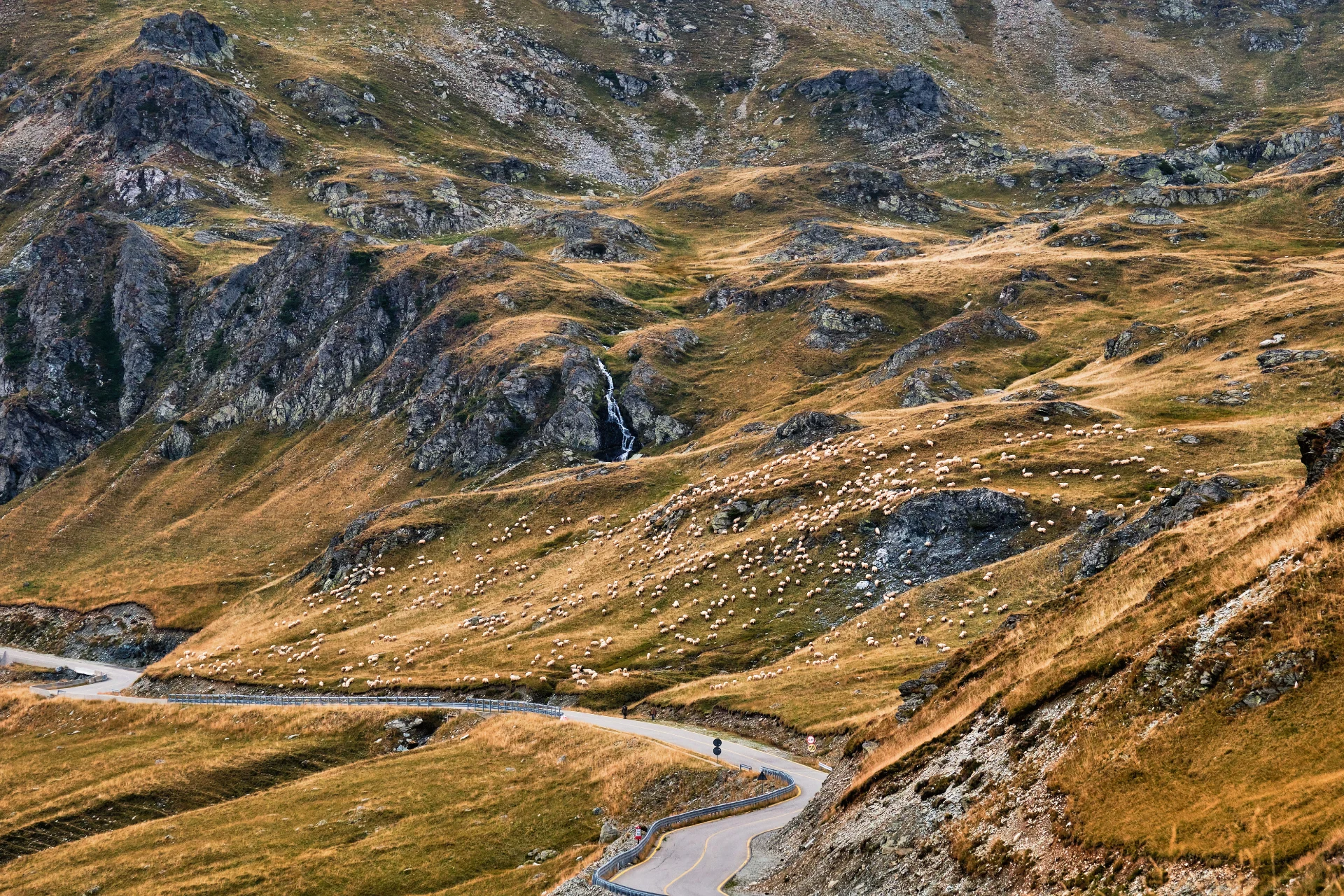 Șoseaua Transalpina - Destinații România 43