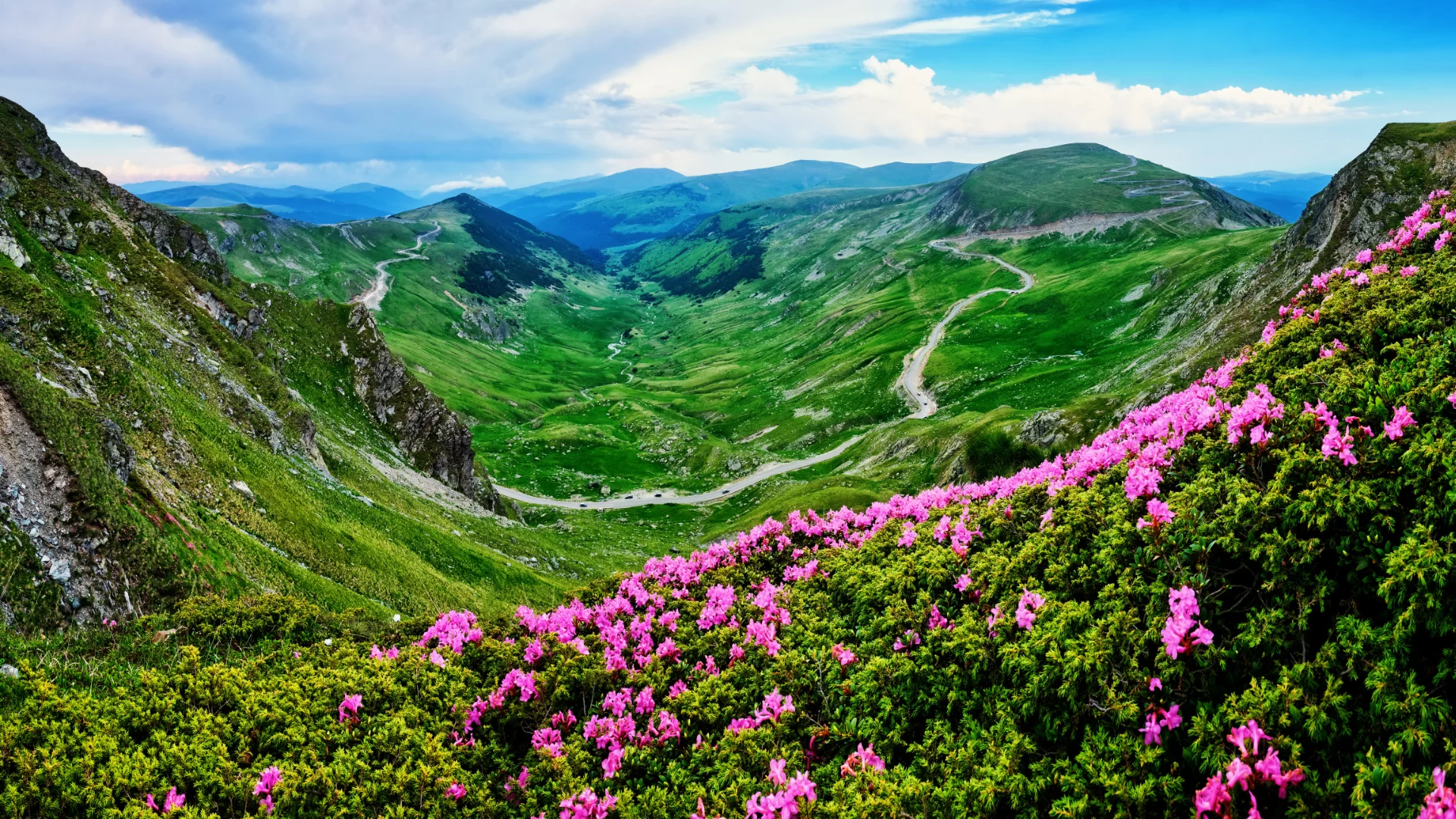 Șoseaua Transalpina - Destinații România 54