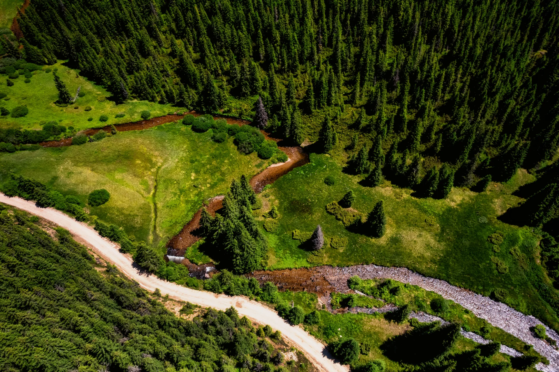 Valea Frumoasei - Parcul Natural Cindrel - Destinații România 05