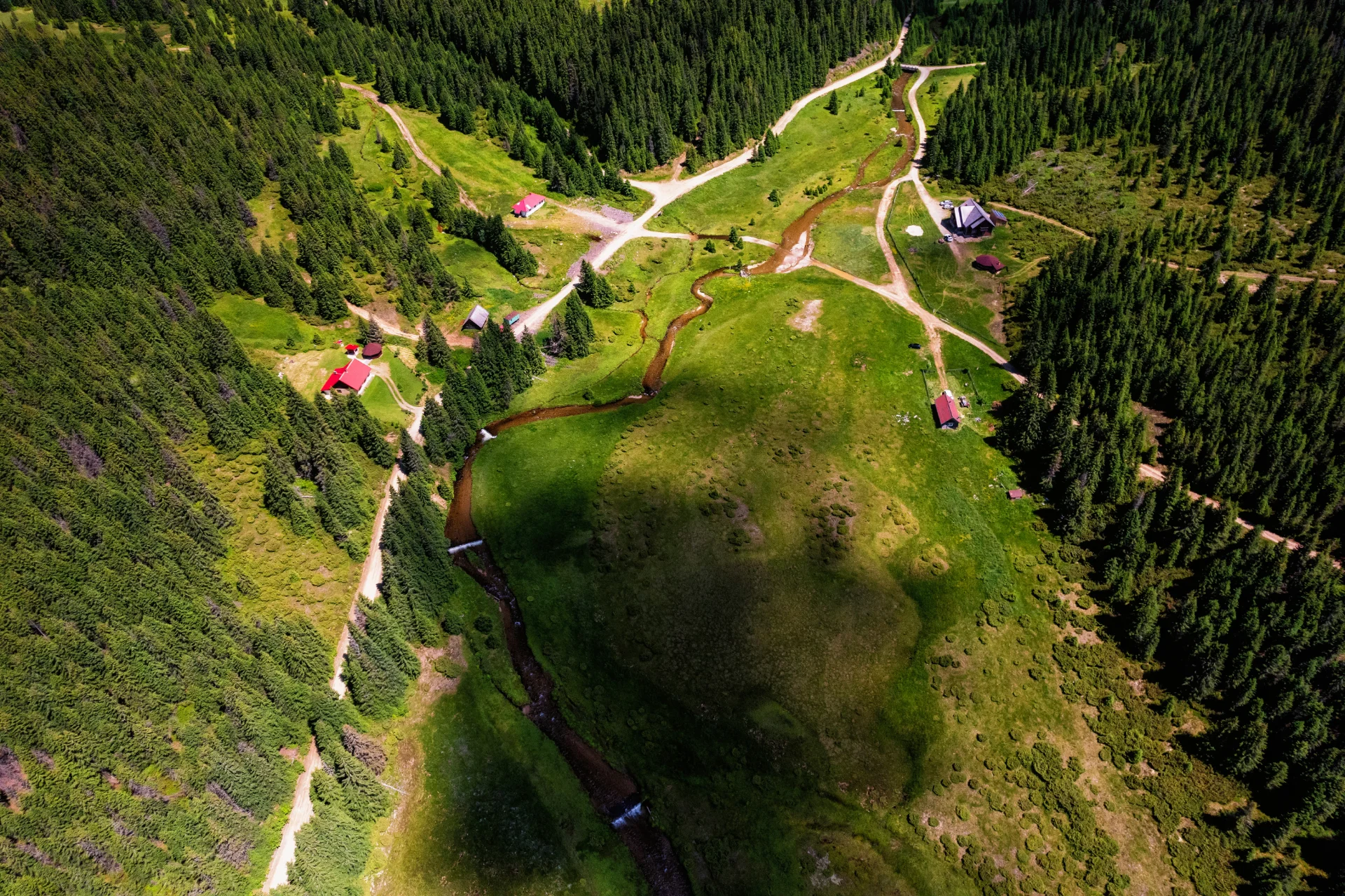 Valea Frumoasei - Parcul Natural Cindrel - Destinații România 08