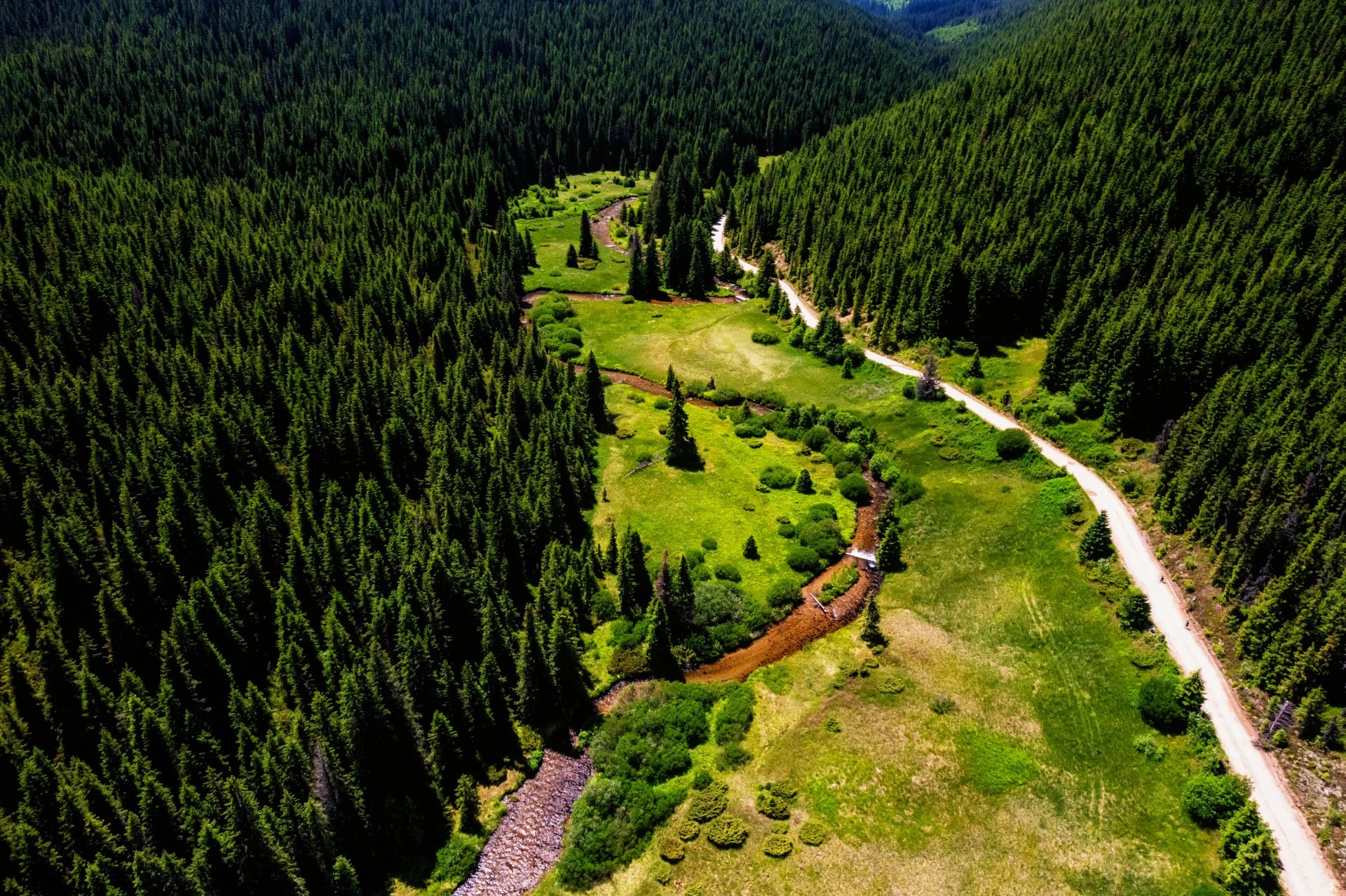 Valea Frumoasei - Parcul Natural Cindrel - Destinații România 09