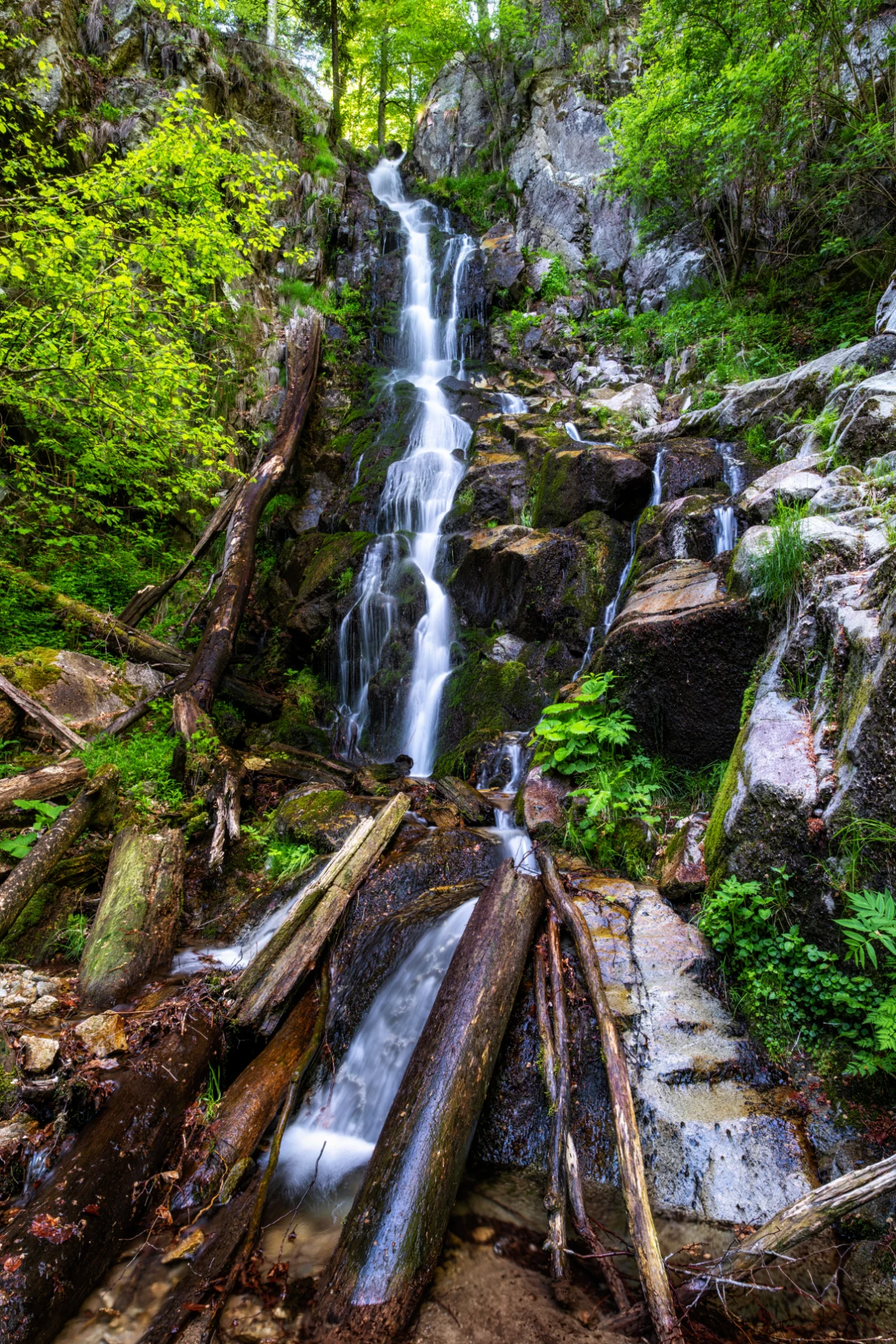 Valea Gilortului - Muntii Parâng - Destinații România 127