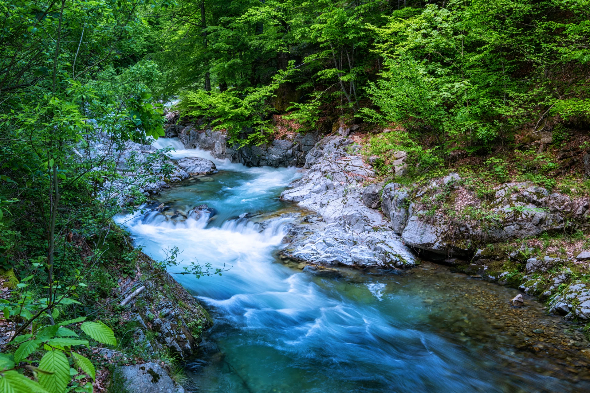 Valea Gilortului - Muntii Parâng - Destinații România 129
